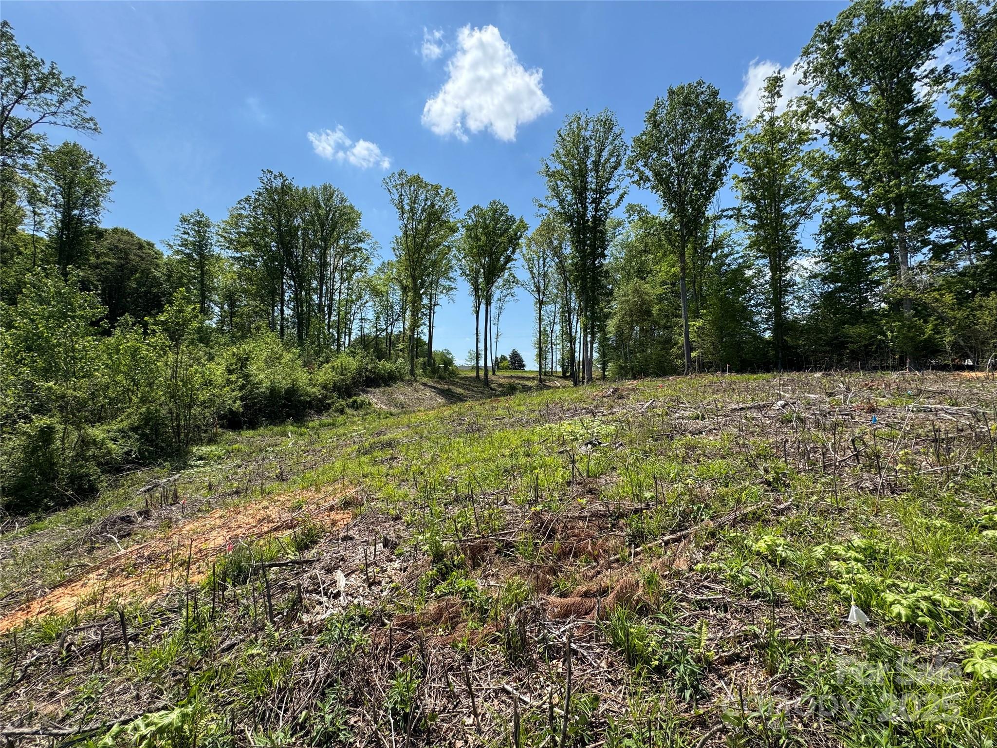 0000 Henry Harris Road 3d Property Photo 23