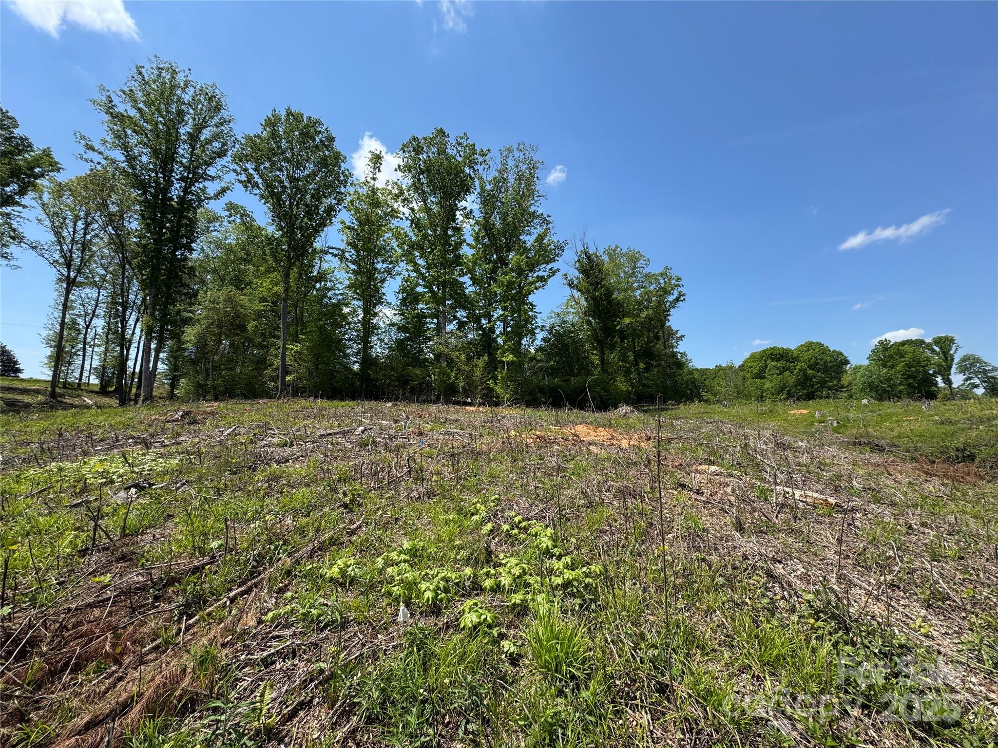 0000 Henry Harris Road 3d Property Photo 24