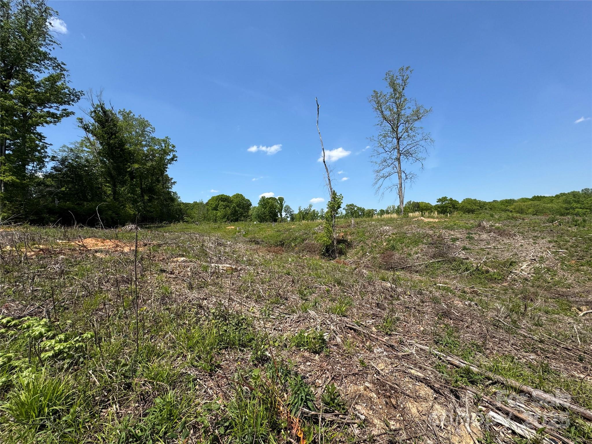 0000 Henry Harris Road 3d Property Photo 25