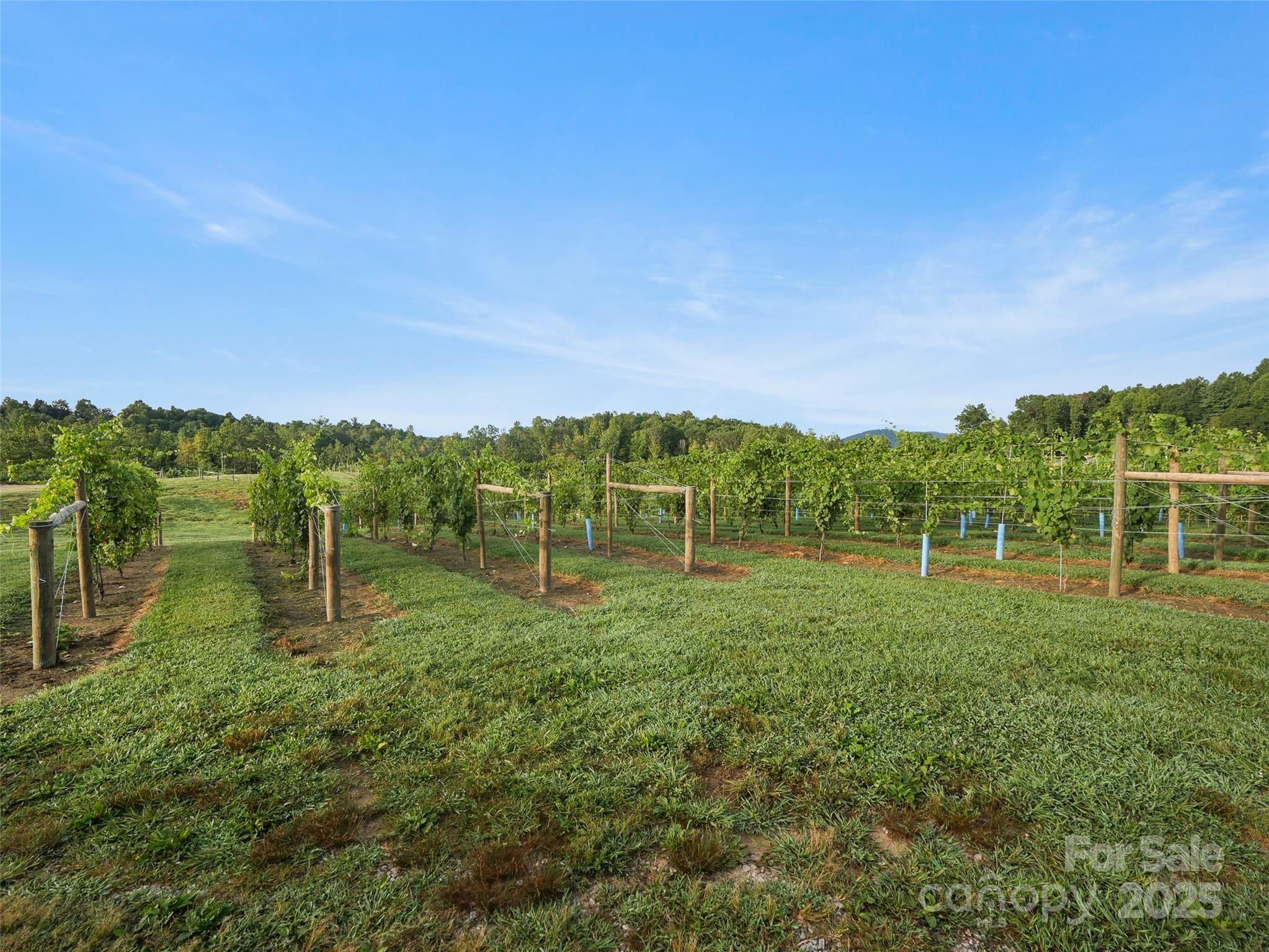 781 Payne Drive Property Photo 8
