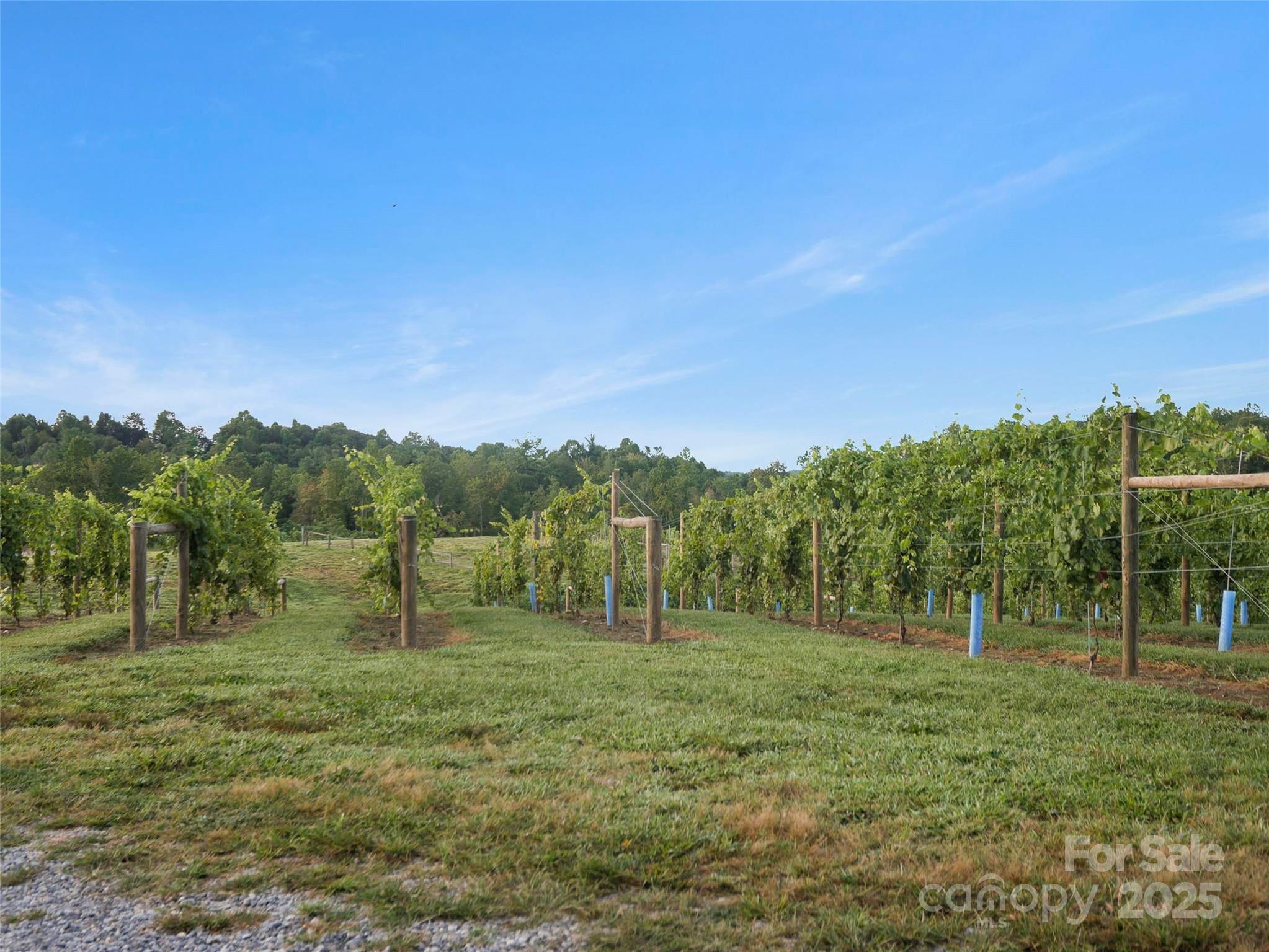 781 Payne Drive Property Photo 25
