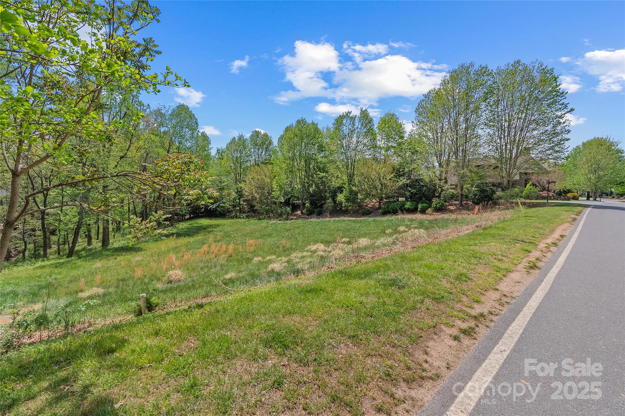 99999 Running Creek Trail 2 Property Photo 3