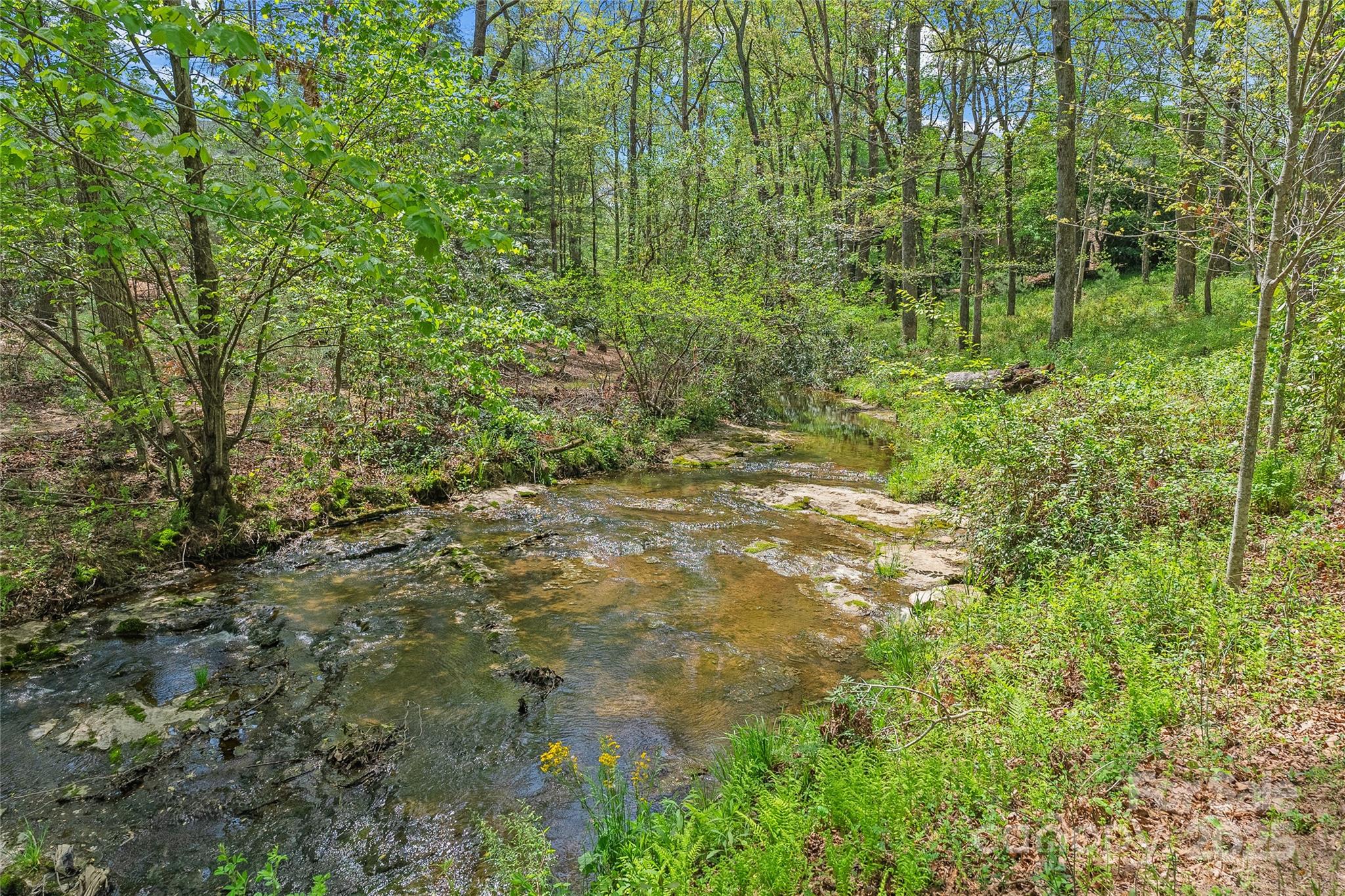 99999 Running Creek Trail 2 Property Photo 5