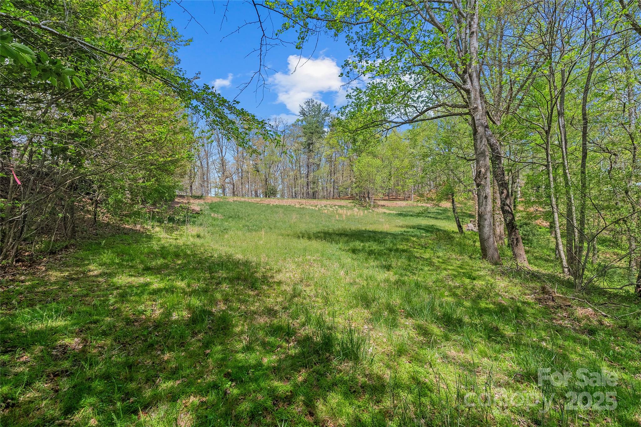 99999 Running Creek Trail 2 Property Photo 6