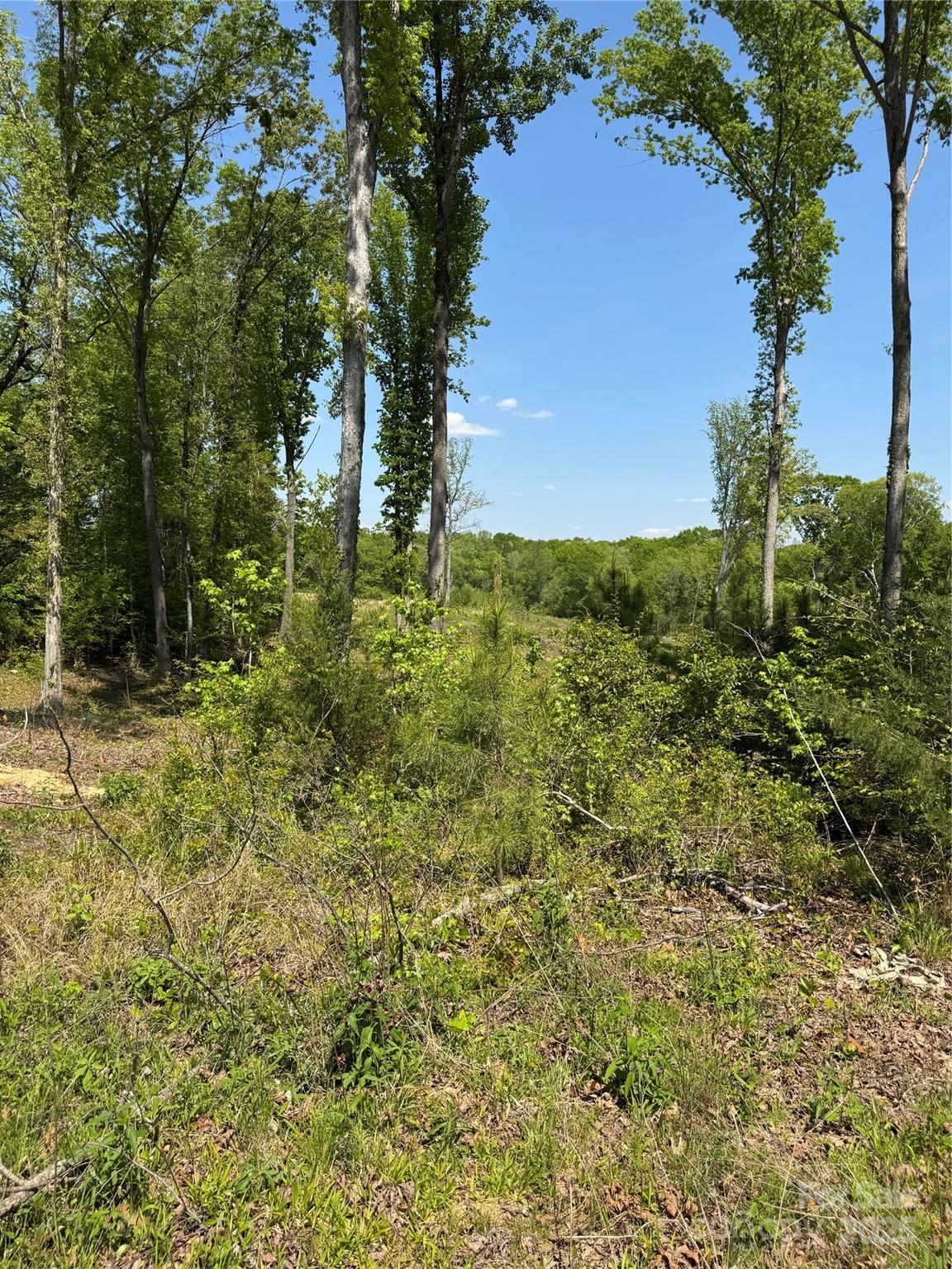 0000 Henry Harris Road 3b Property Photo 18