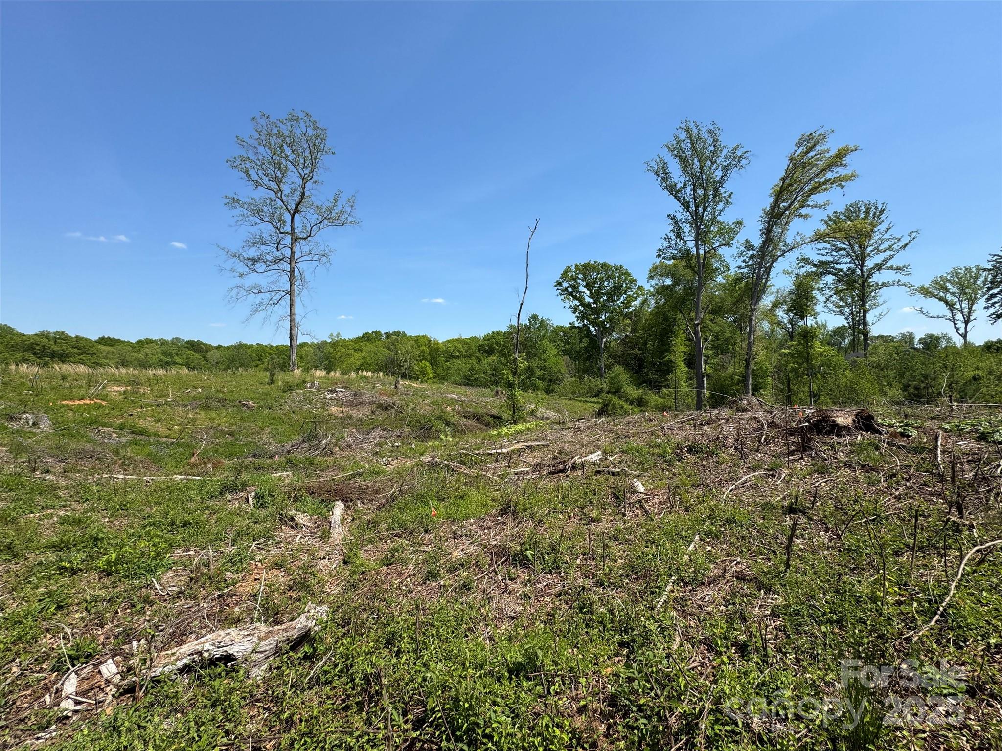 0000 Henry Harris Road 3b Property Photo 27