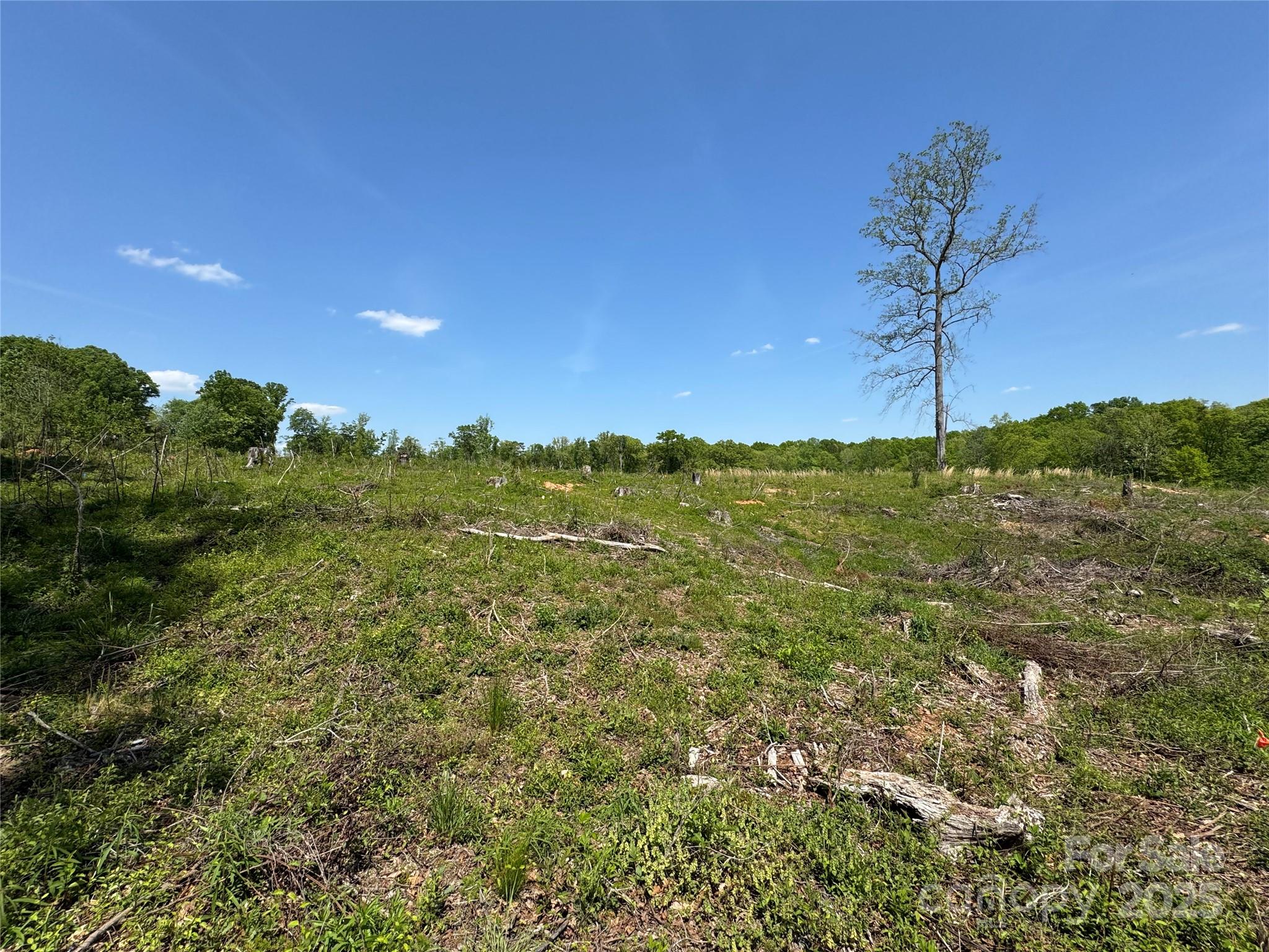 0000 Henry Harris Road 3b Property Photo 28