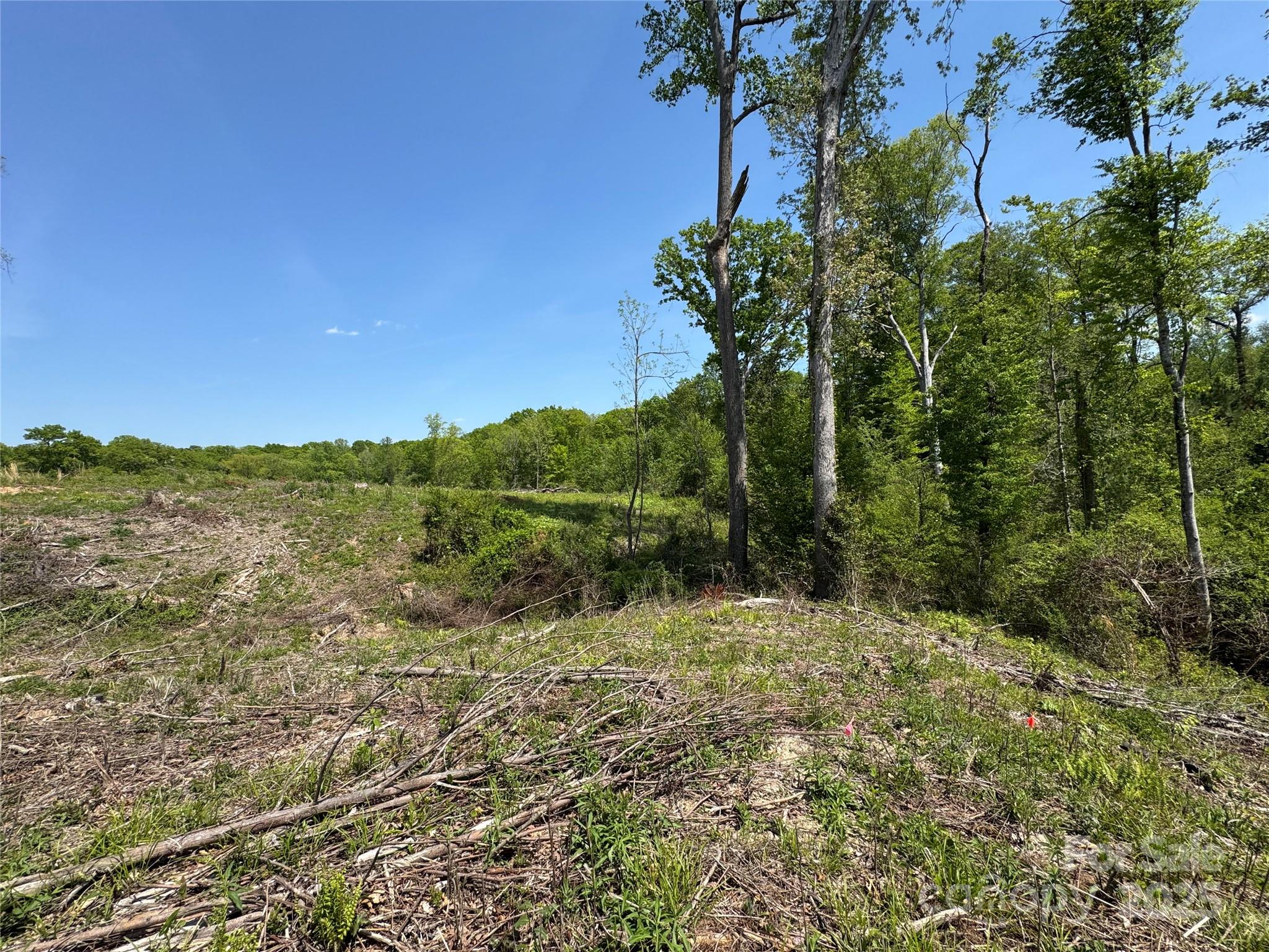 0000 Henry Harris Road 3b Property Photo 31