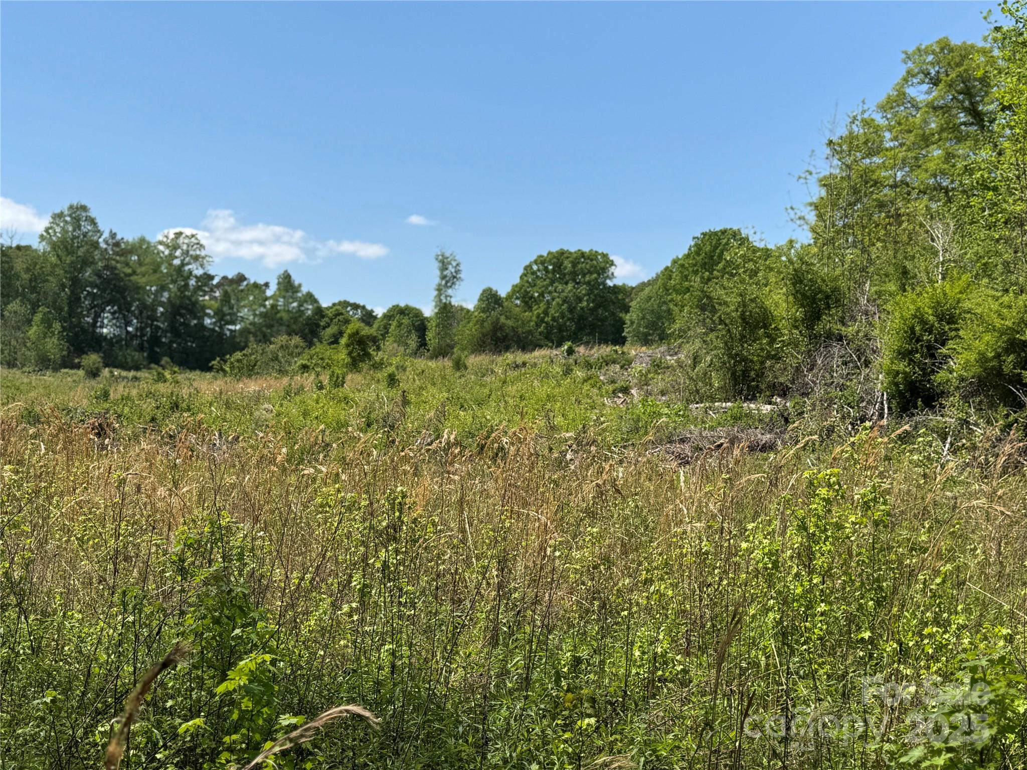 0000 Henry Harris Road 3b Property Photo 34