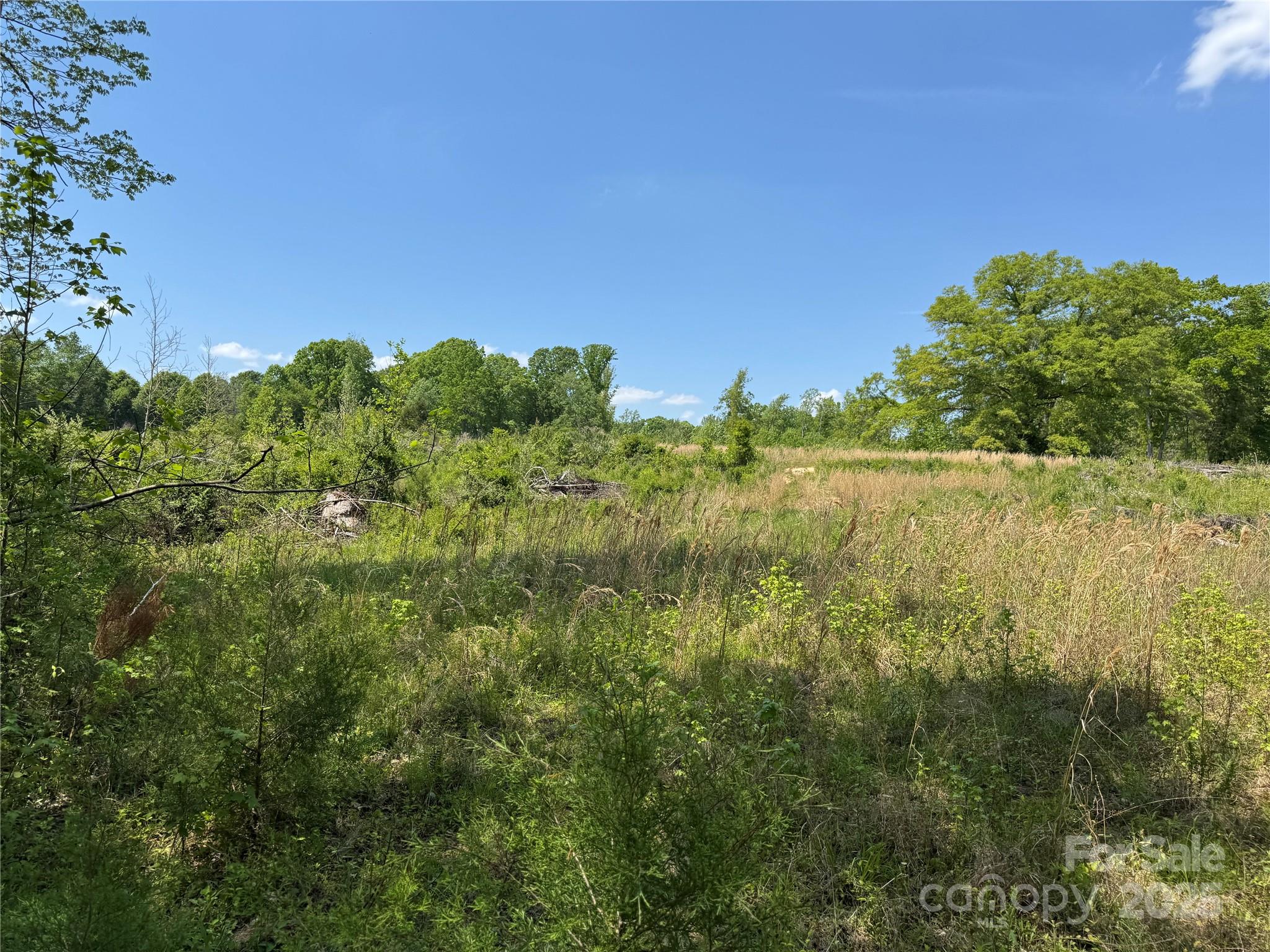 0000 Henry Harris Road 3b Property Photo 37