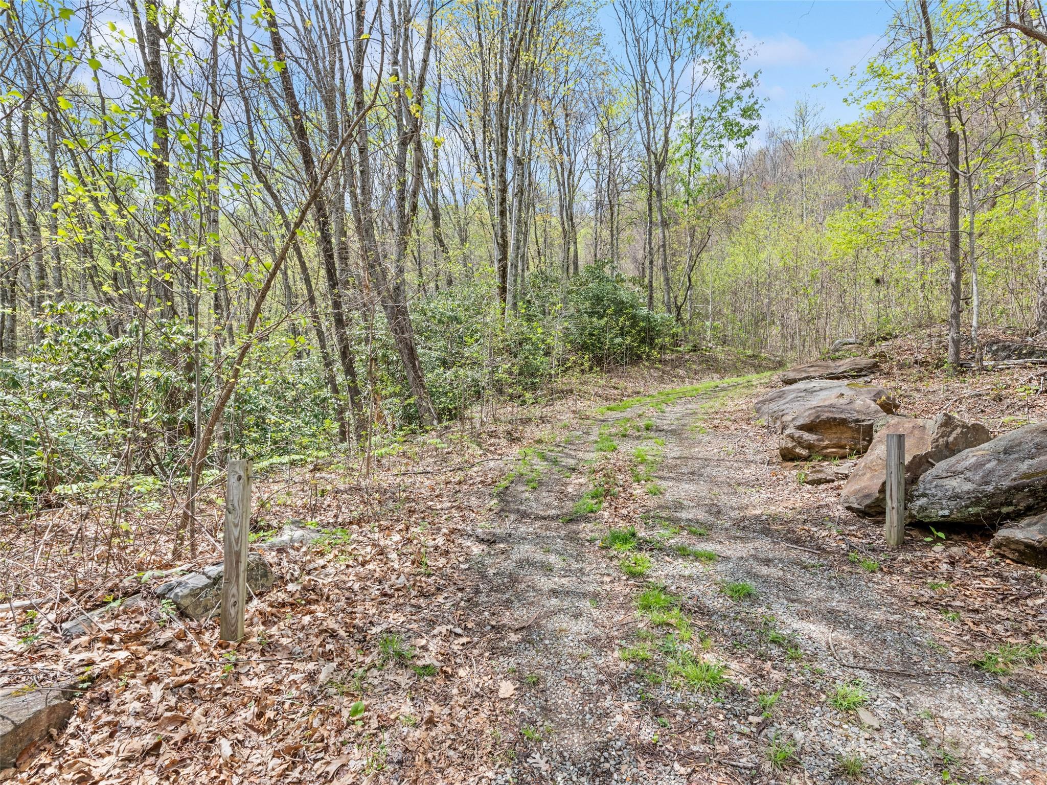 0 Laurel Ridge Drive Property Photo 3