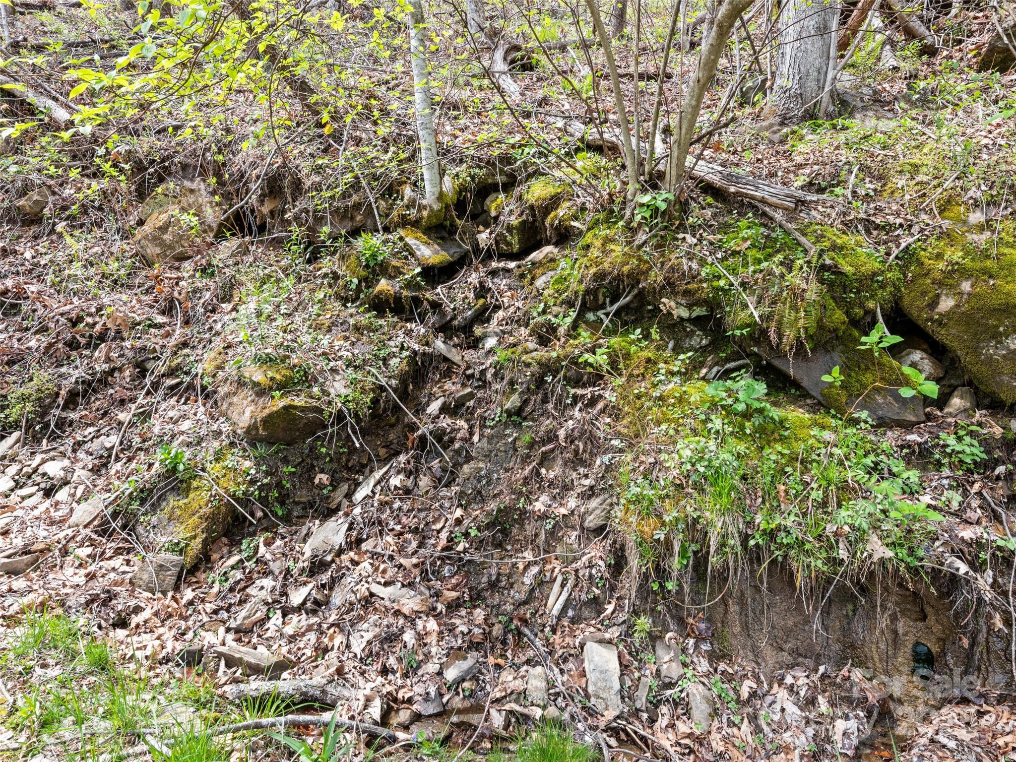 0 Laurel Ridge Drive Property Photo 4