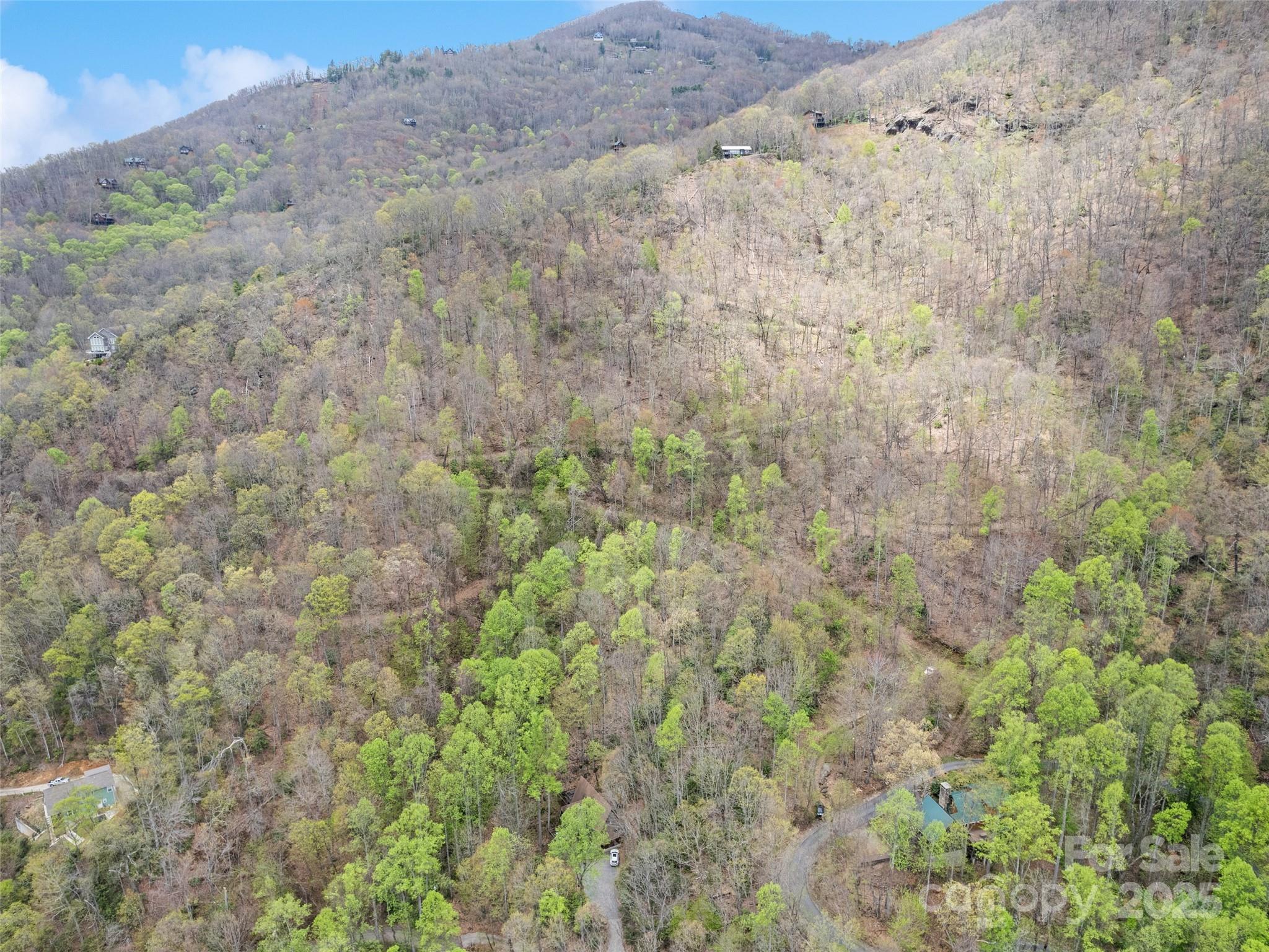 Tbd Laurel Ridge Drive Property Photo 5
