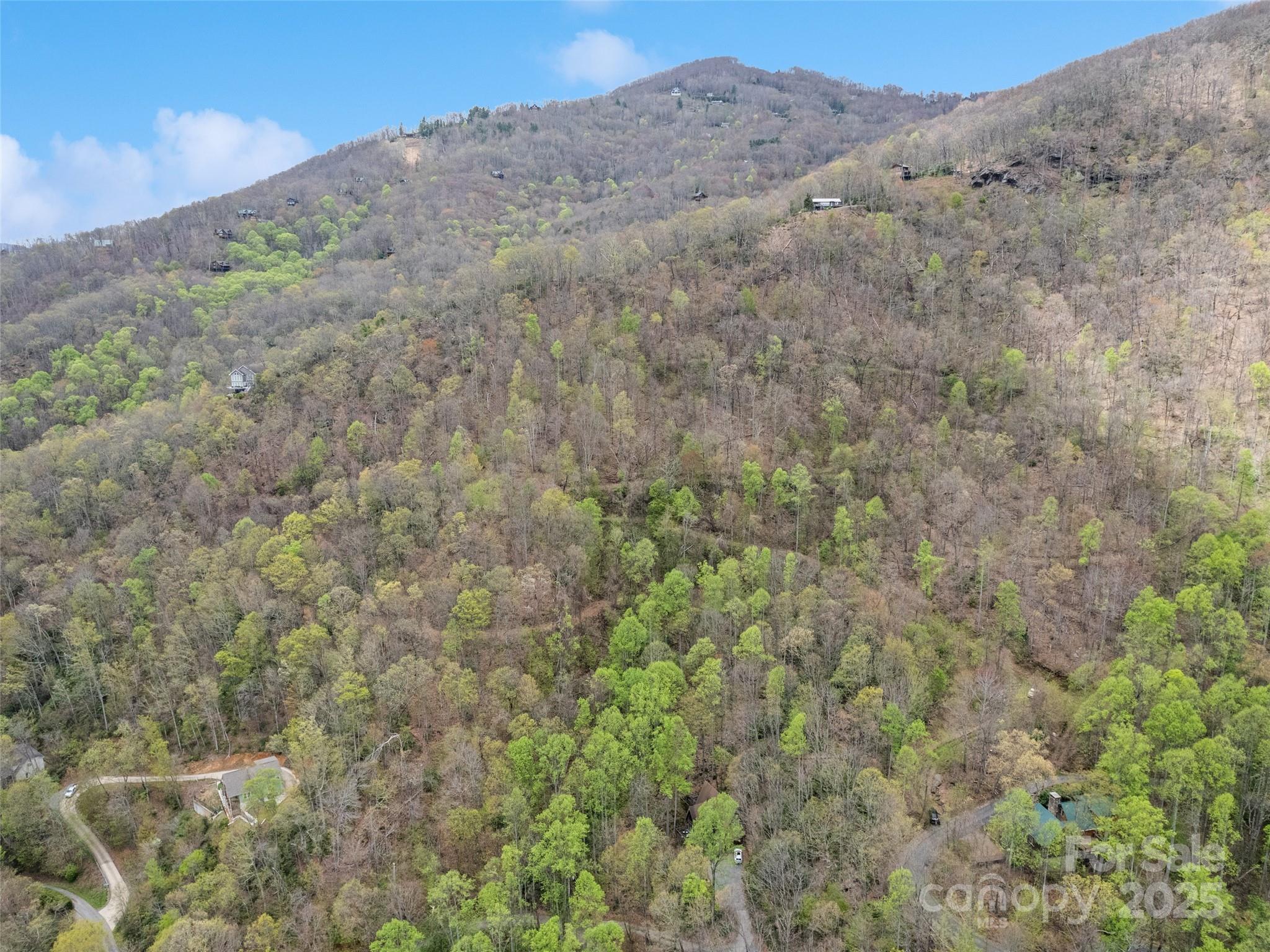 0 Laurel Ridge Drive Property Photo 6