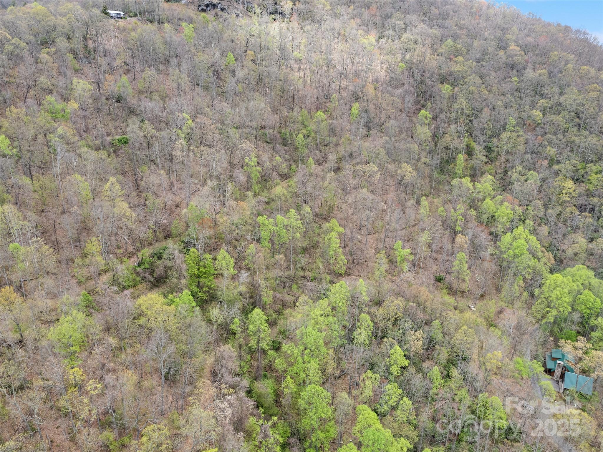 0 Laurel Ridge Drive Property Photo 7