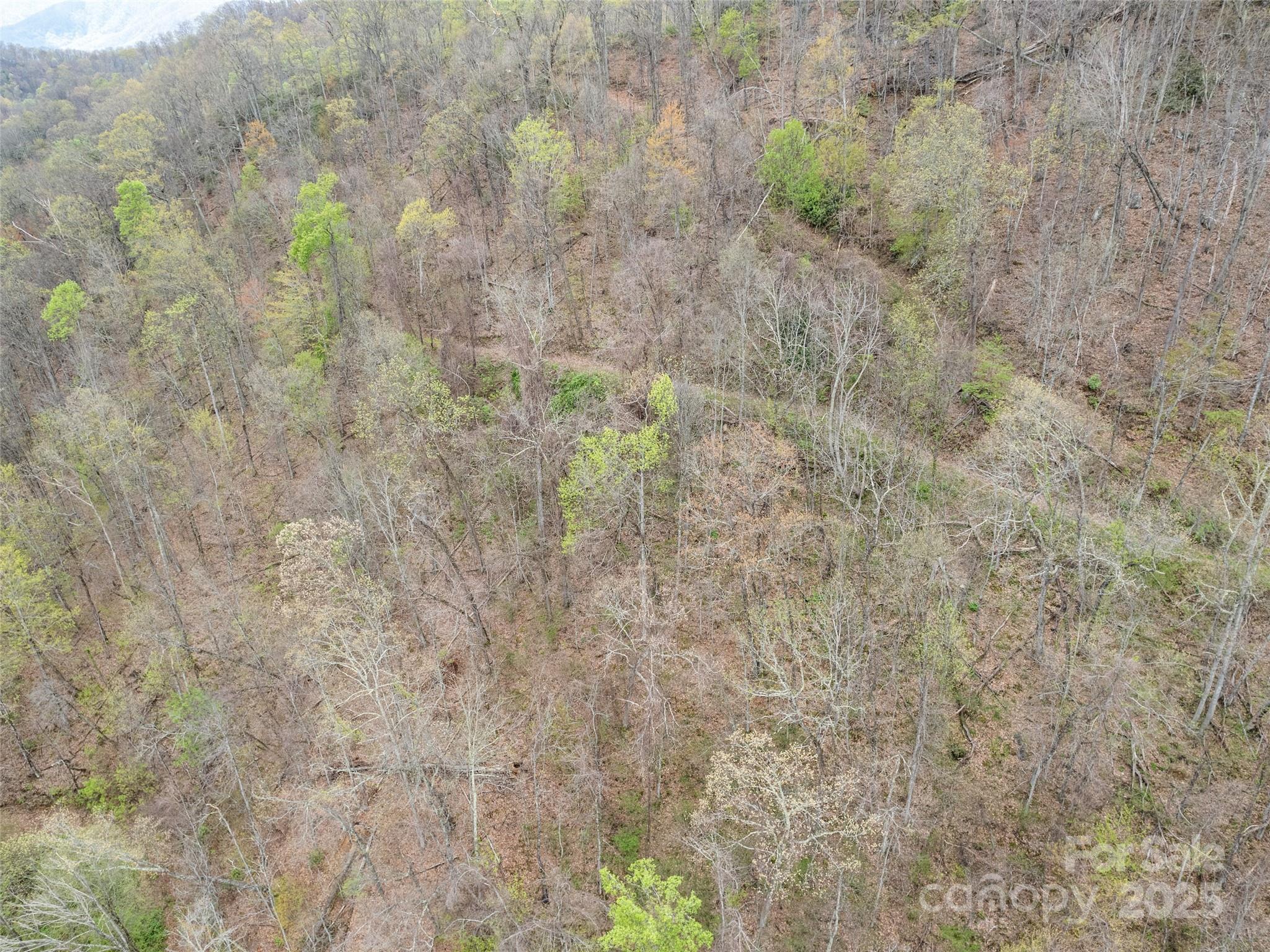 0 Laurel Ridge Drive Property Photo 8