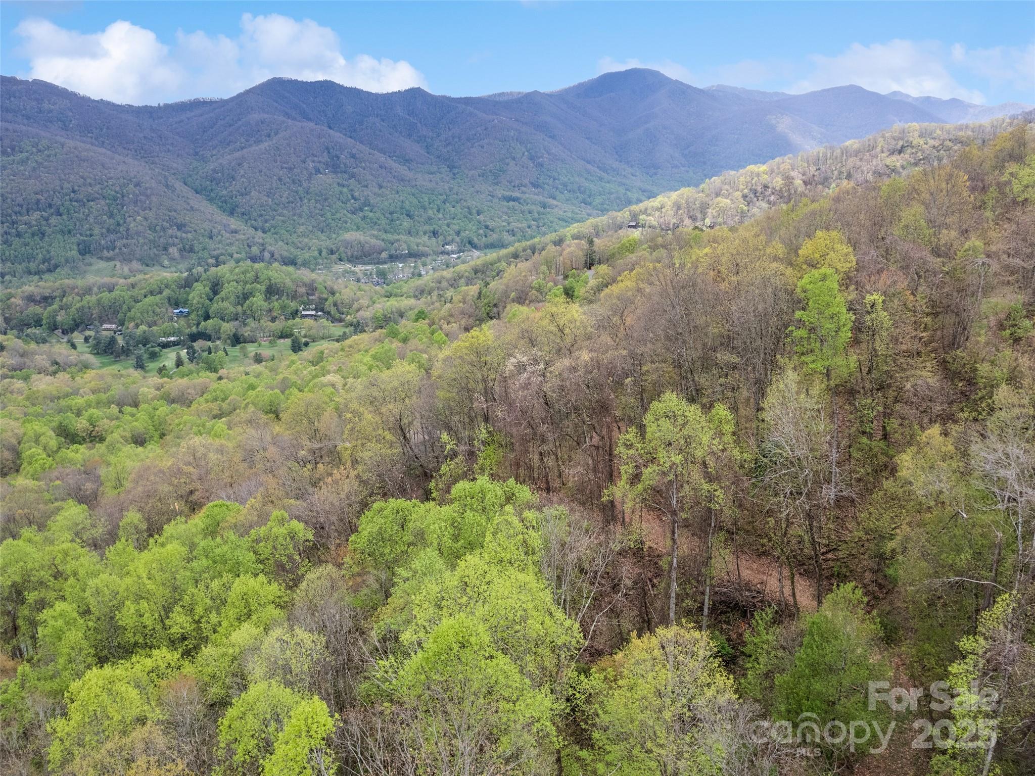 0 Laurel Ridge Drive Property Photo 10