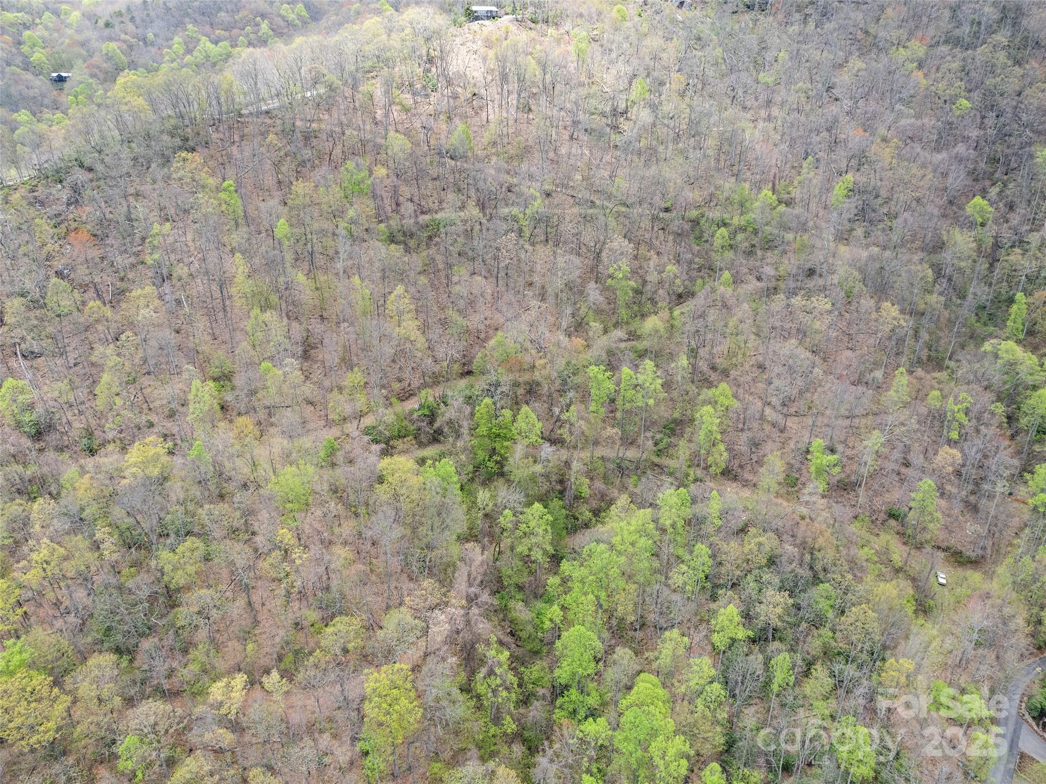 0 Laurel Ridge Drive Property Photo 11