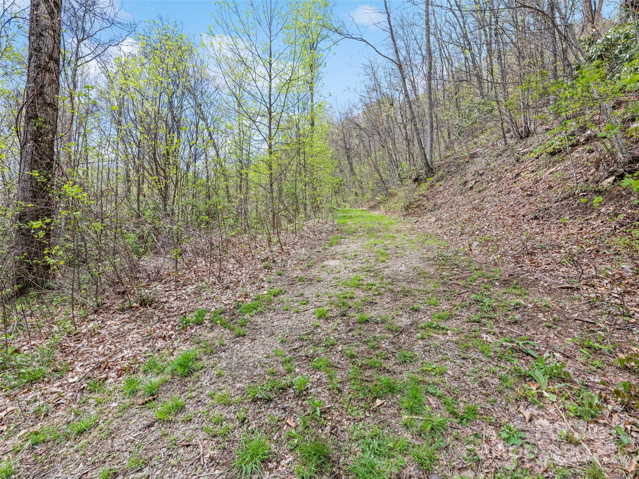 0 Laurel Ridge Drive Property Photo 12