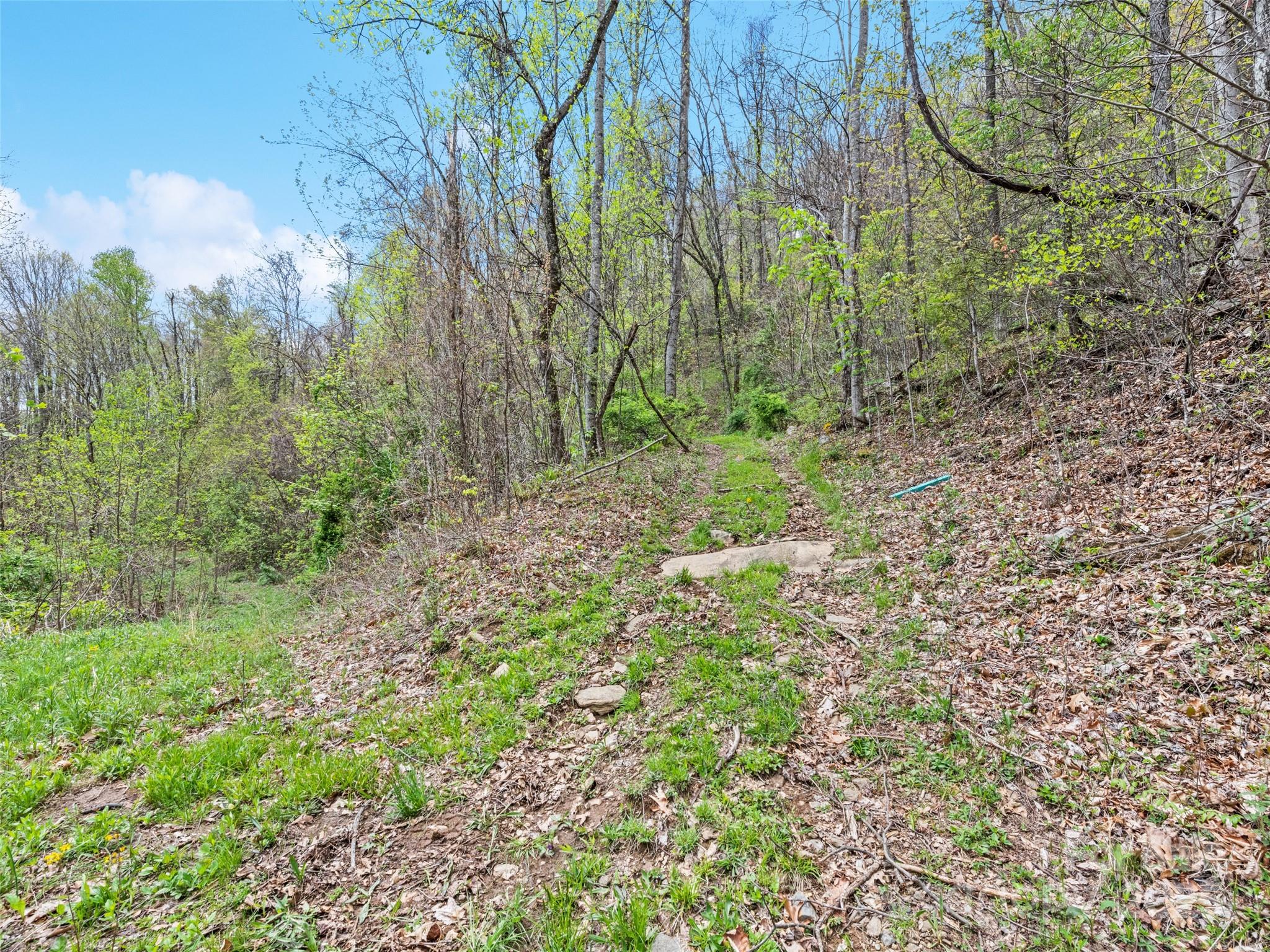 0 Laurel Ridge Drive Property Photo 13