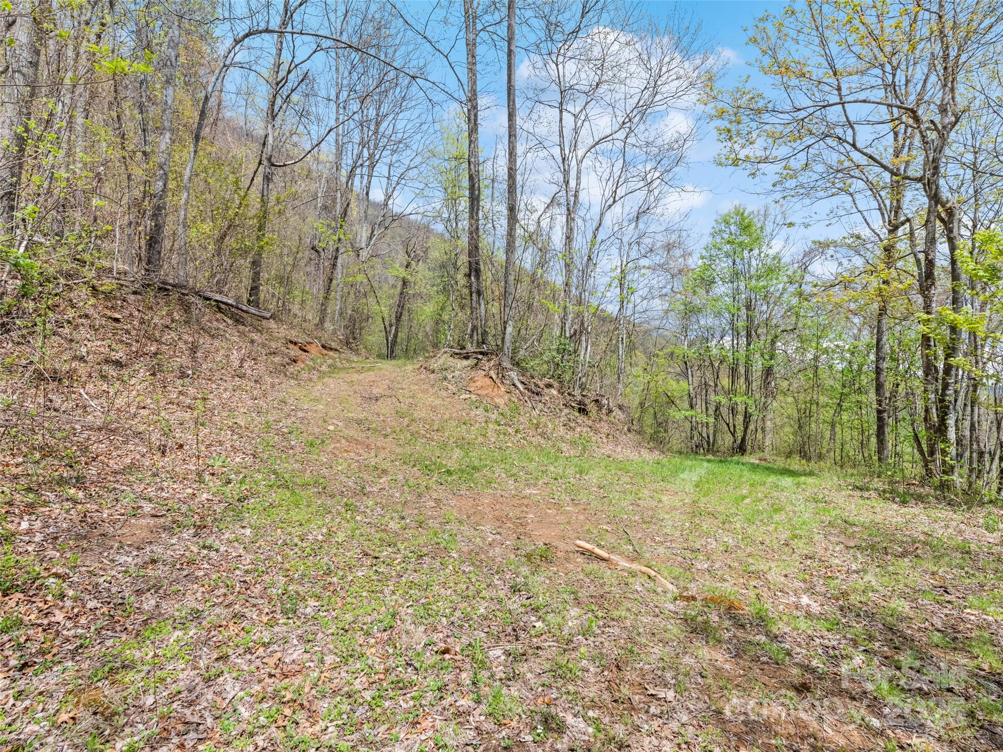 Tbd Laurel Ridge Drive Property Photo 14