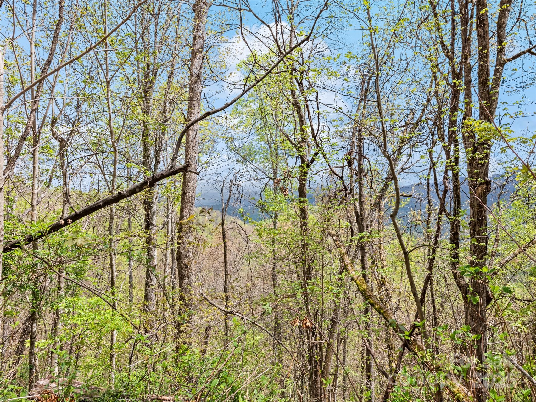 Tbd Laurel Ridge Drive Property Photo 15