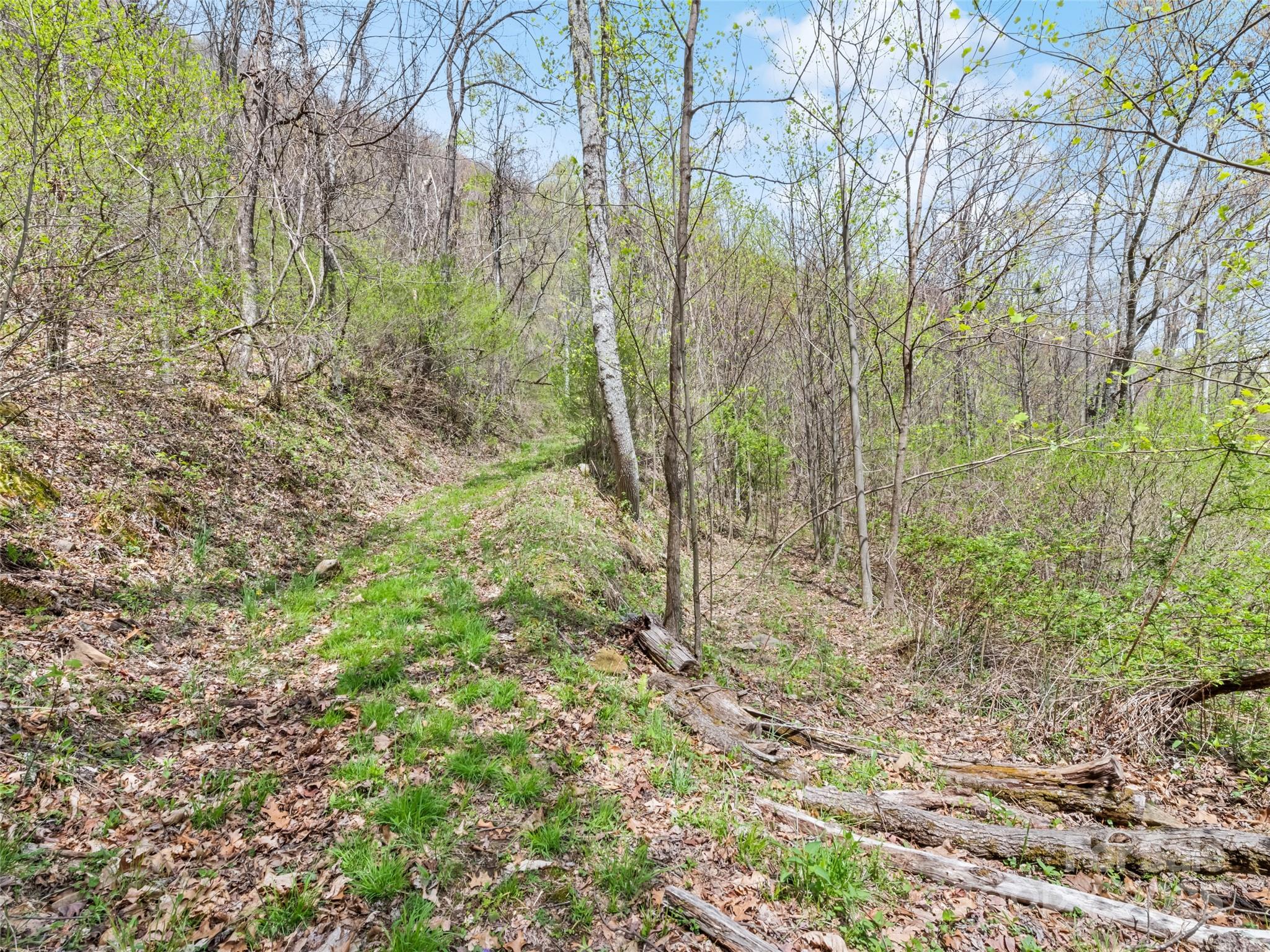 Tbd Laurel Ridge Drive Property Photo 16