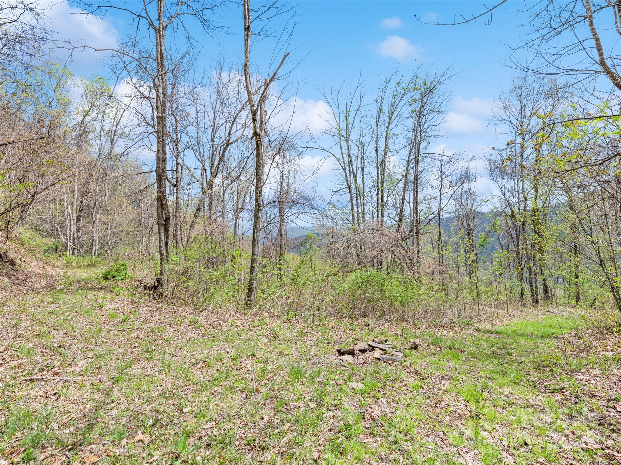 0 Laurel Ridge Drive Property Photo 17