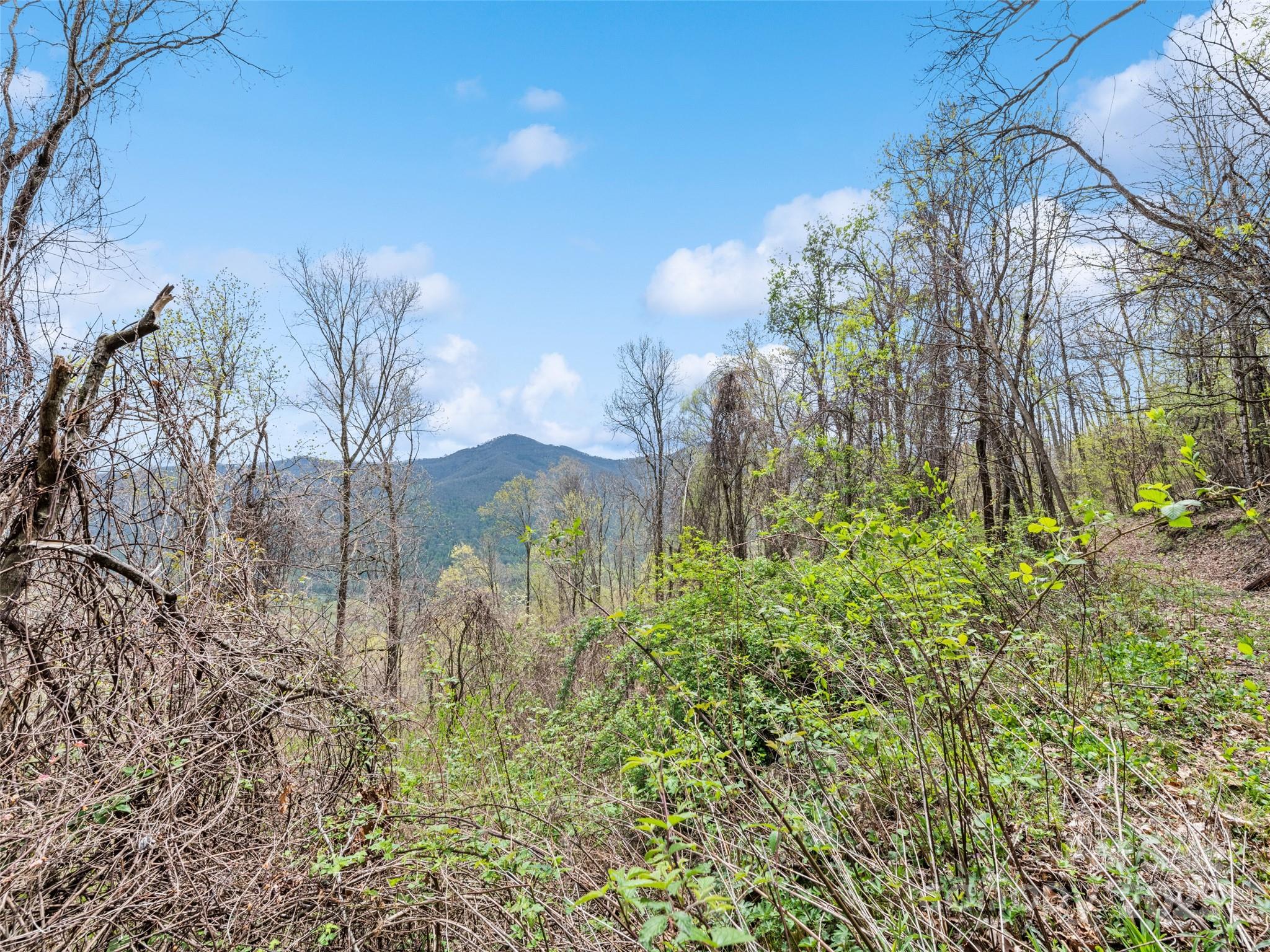 0 Laurel Ridge Drive Property Photo 18