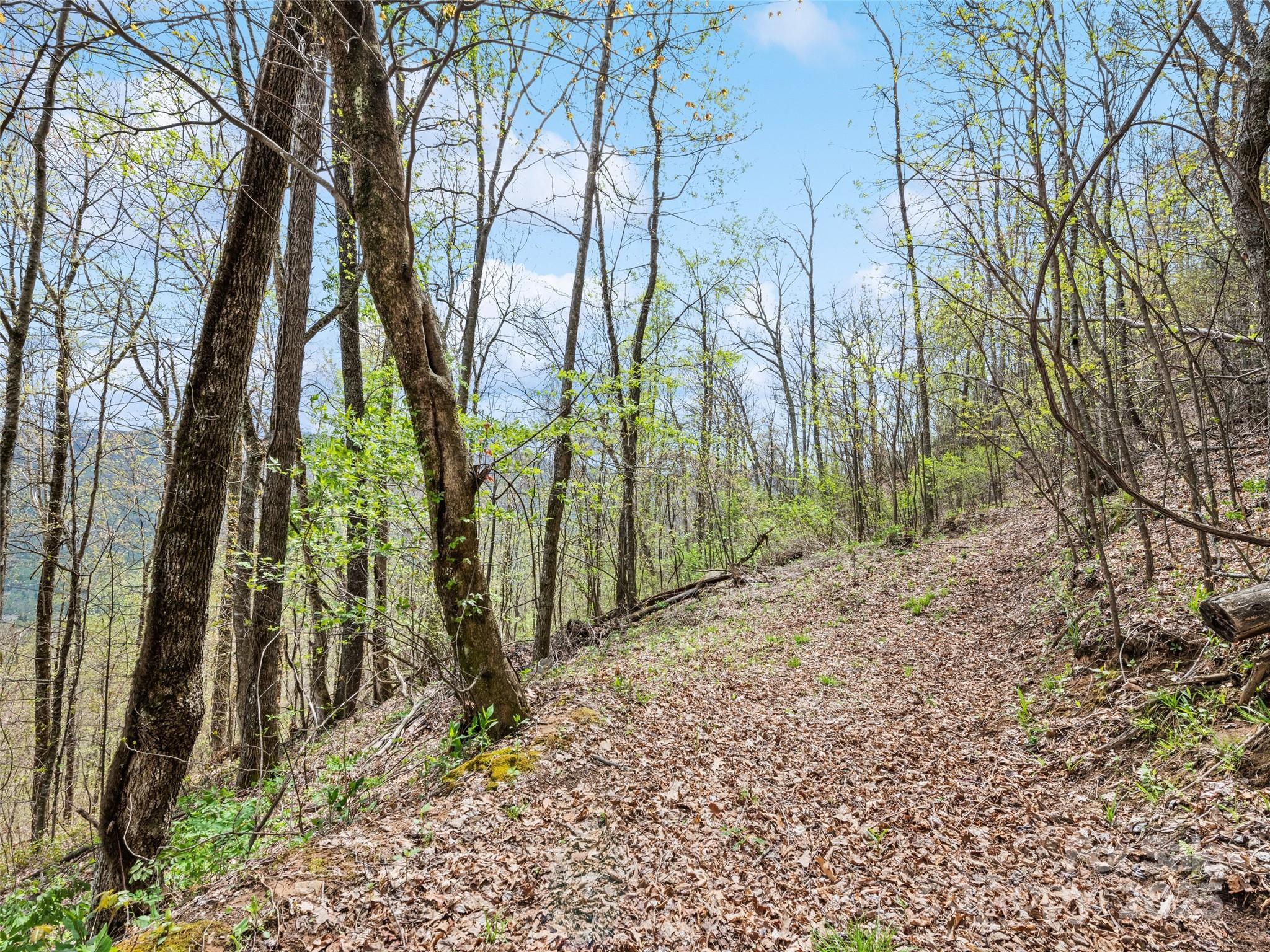 0 Laurel Ridge Drive Property Photo 19