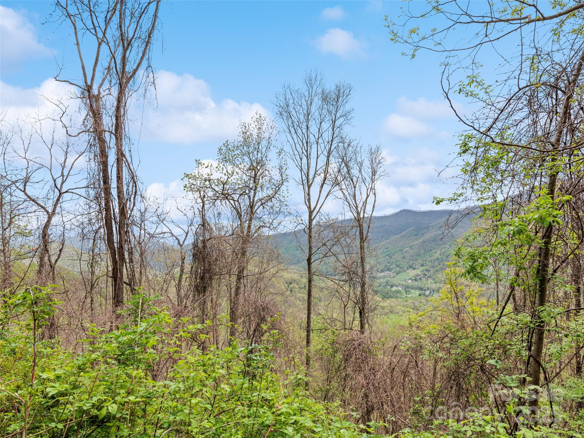 0 Laurel Ridge Drive Property Photo 20