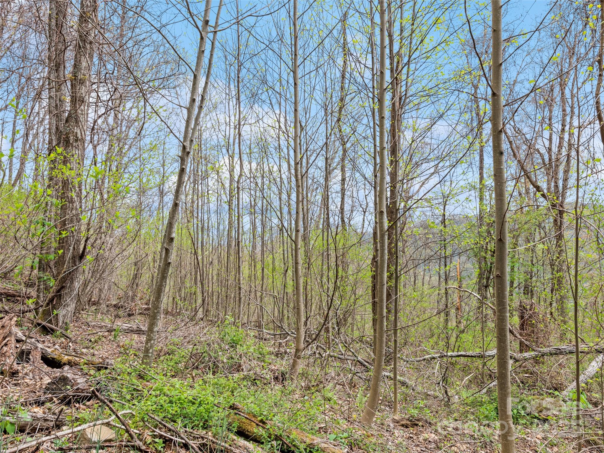 0 Laurel Ridge Drive Property Photo 21