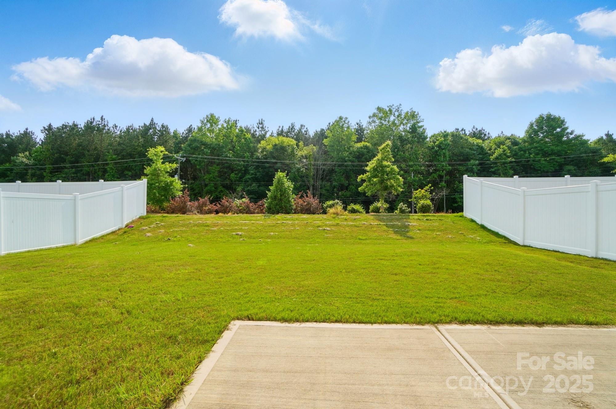 4439 Wild Ridge Drive Property Photo 28