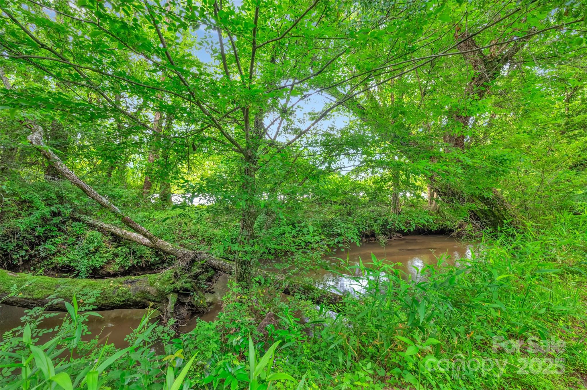 26 Bonnies Cove Trail Property Photo 35