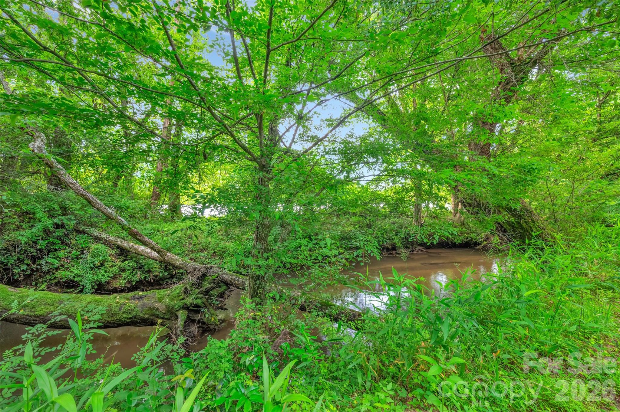 26 Bonnies Cove Trail Property Photo 41