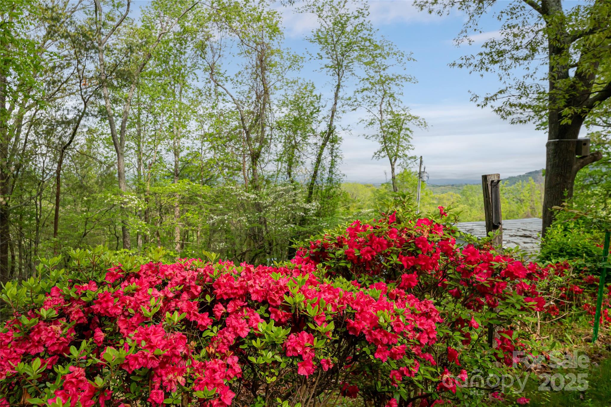 25 Coal Creek Lane Property Photo 3