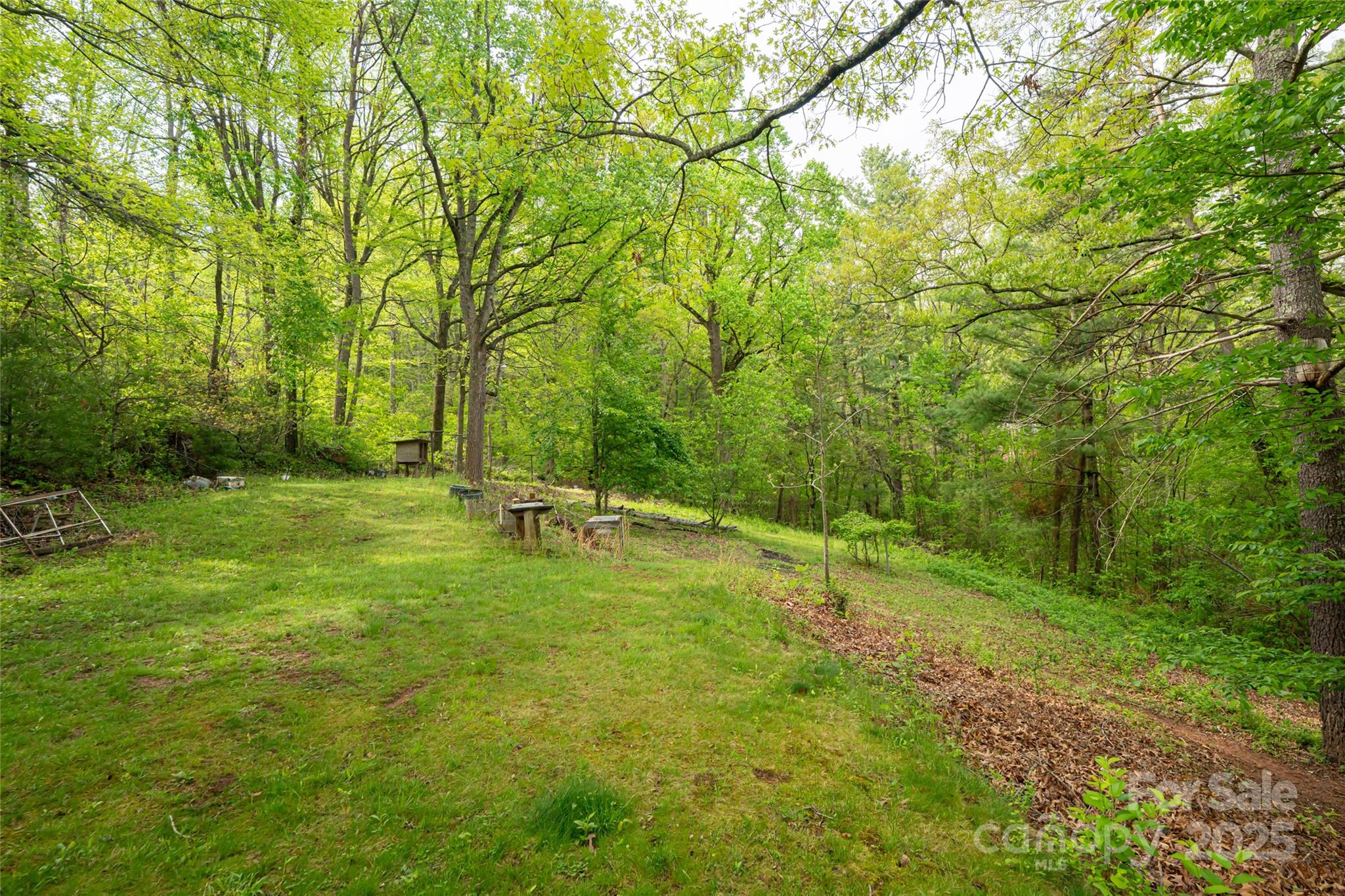 25 Coal Creek Lane Property Photo 6