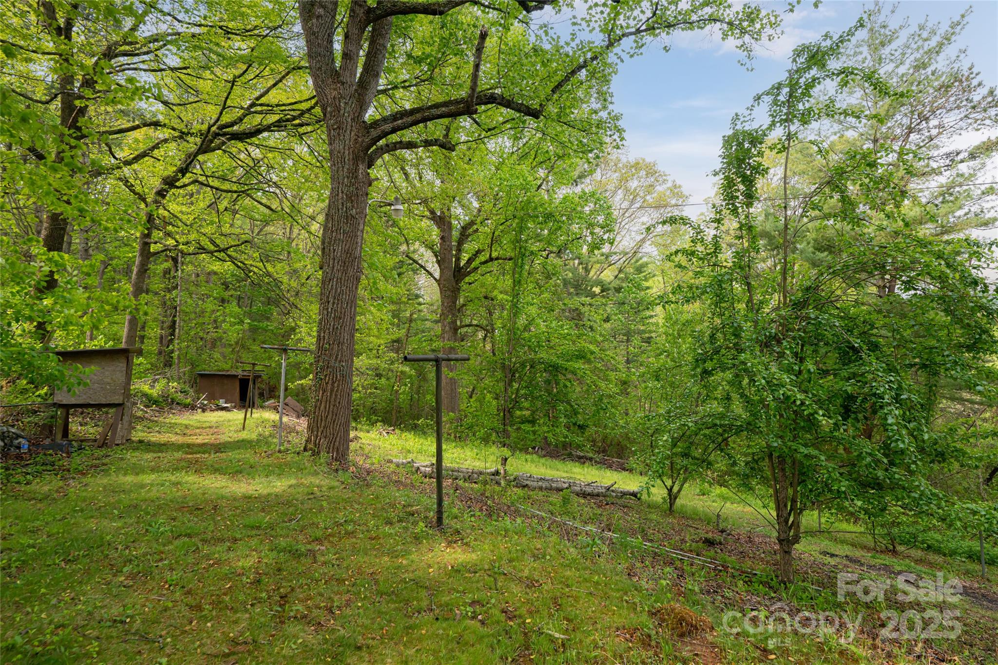 25 Coal Creek Lane Property Photo 8