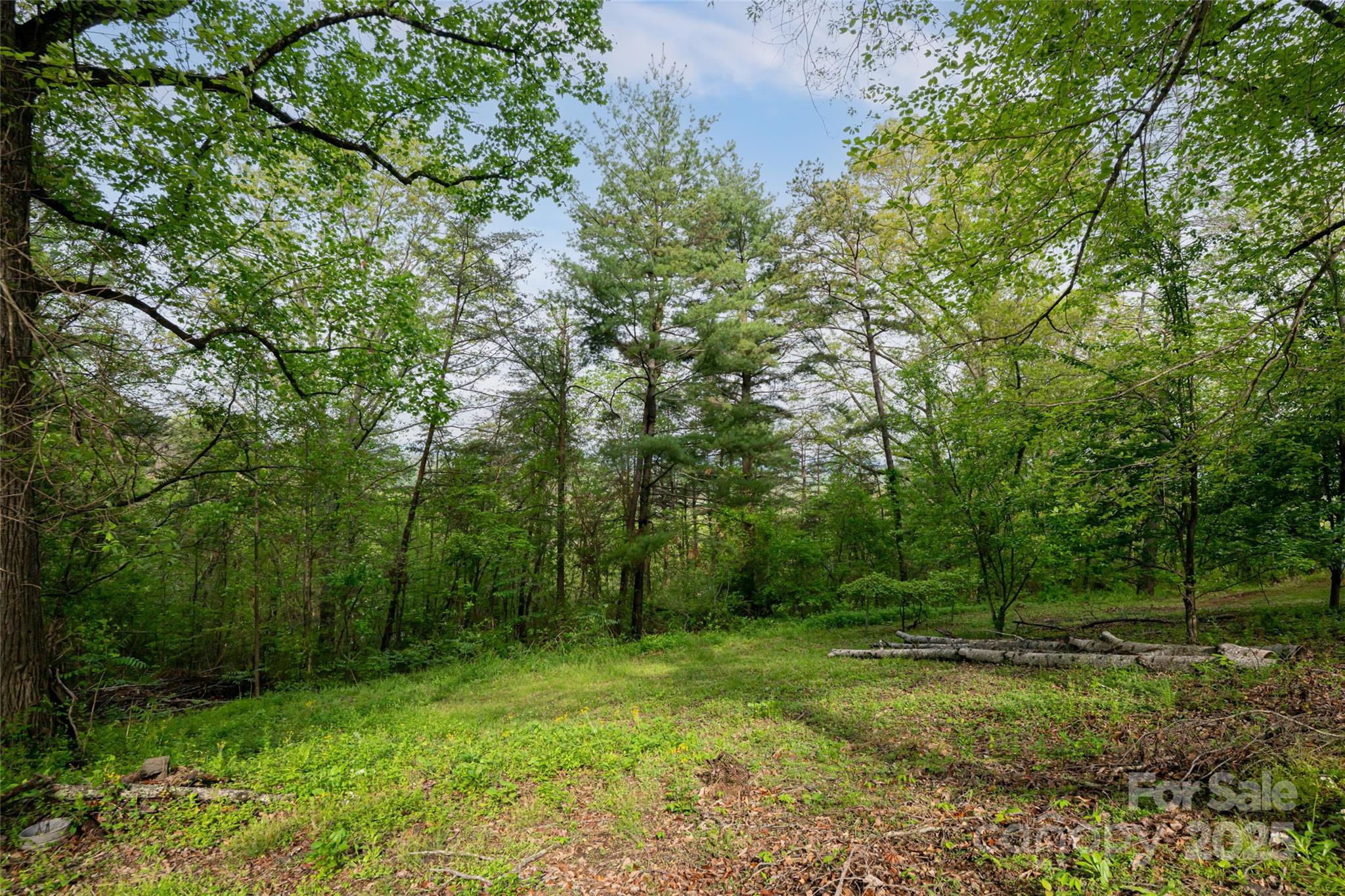 25 Coal Creek Lane Property Photo 9