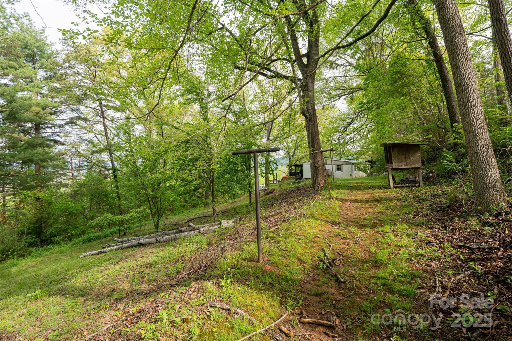 25 Coal Creek Lane Property Photo 10