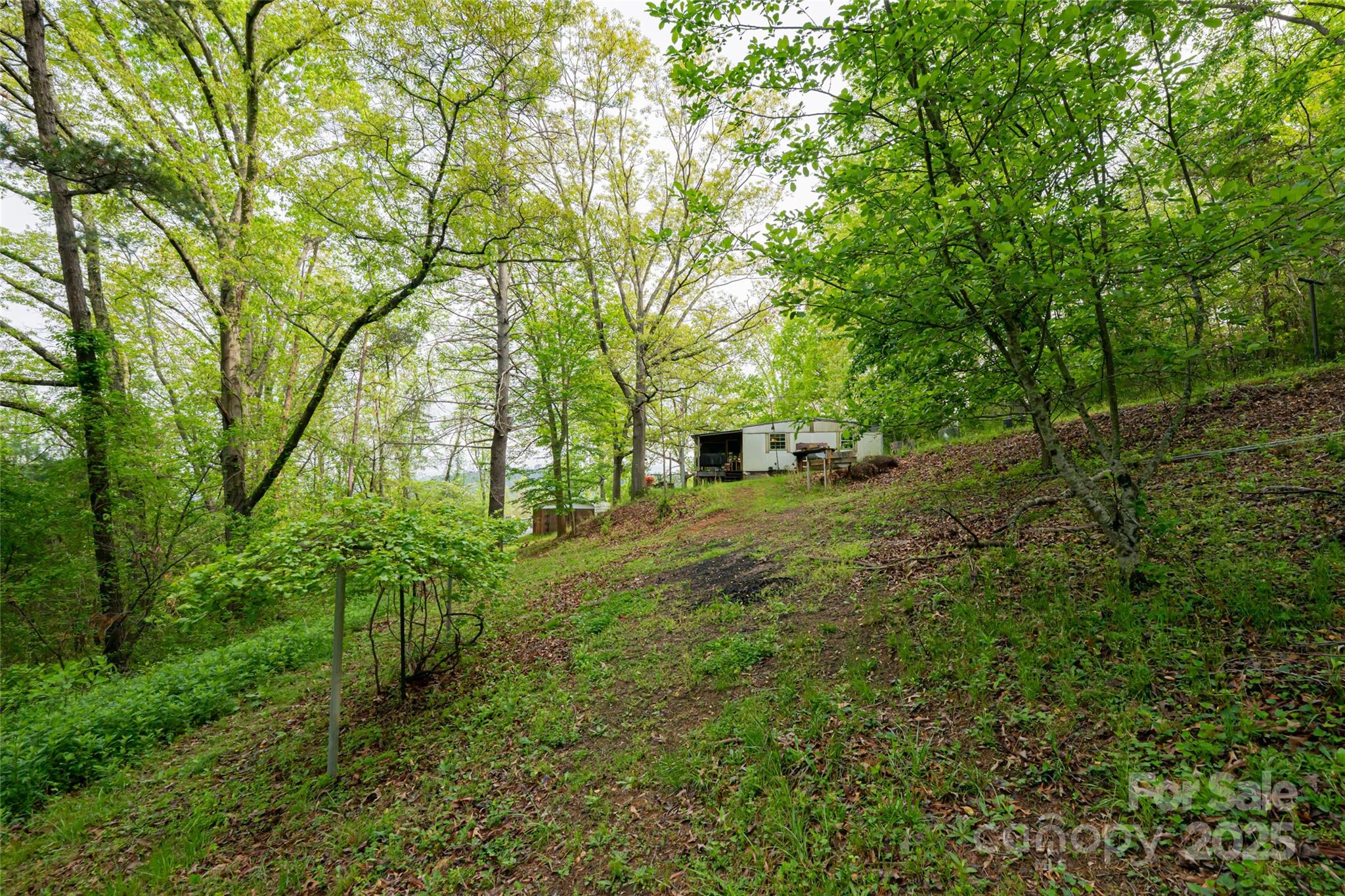 25 Coal Creek Lane Property Photo 11