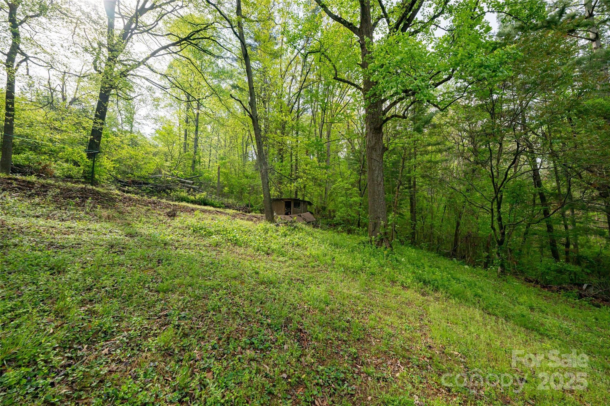 25 Coal Creek Lane Property Photo 12