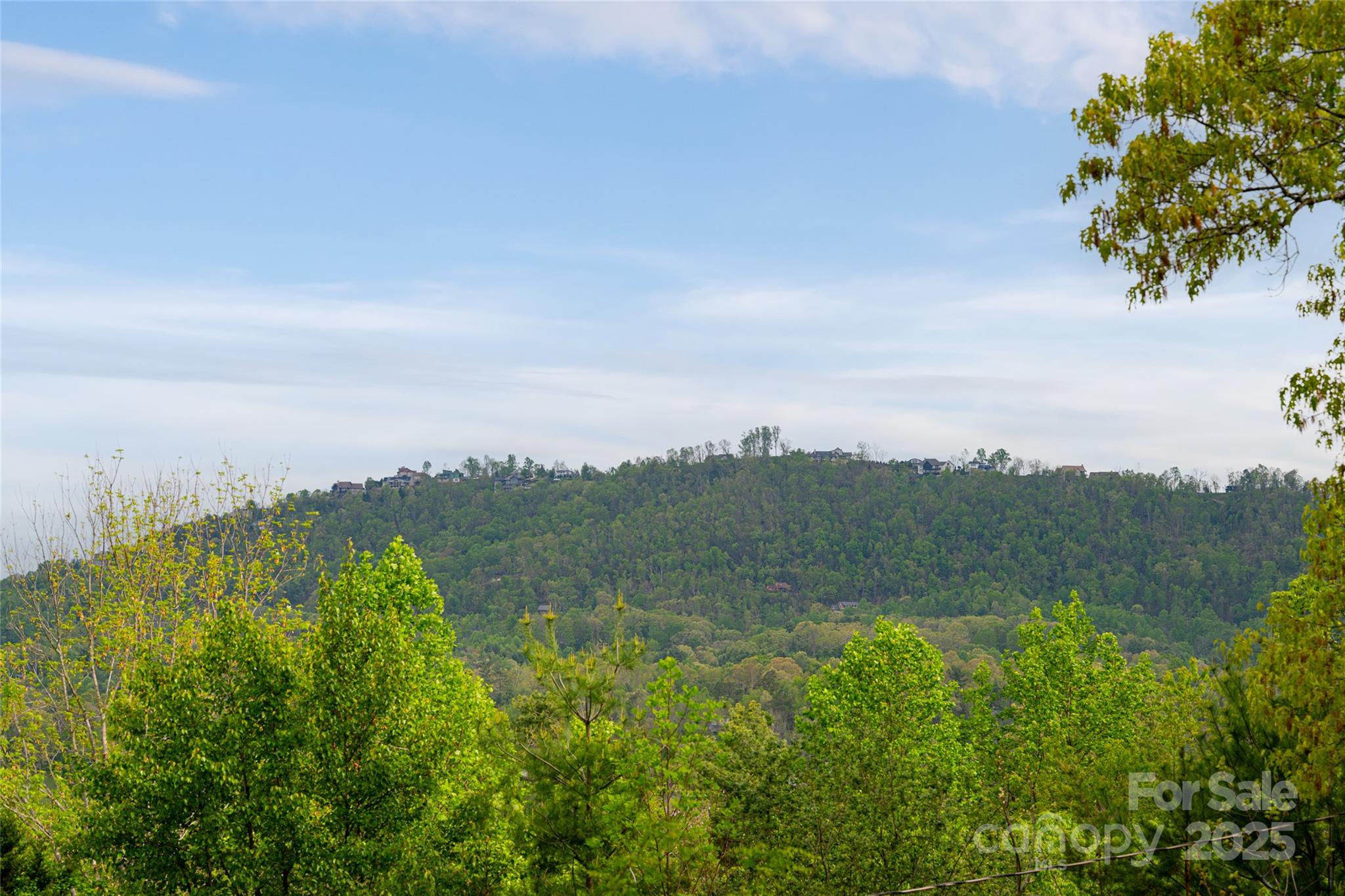 25 Coal Creek Lane Property Photo 14