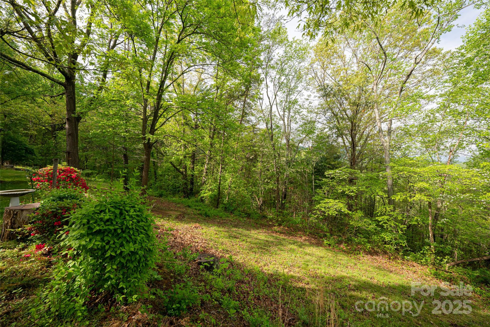 25 Coal Creek Lane Property Photo 21