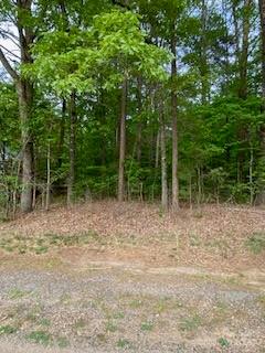 8678 Peninsula Drive Property Photo 2