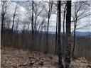 Avery County Real Estate Listings Main Image