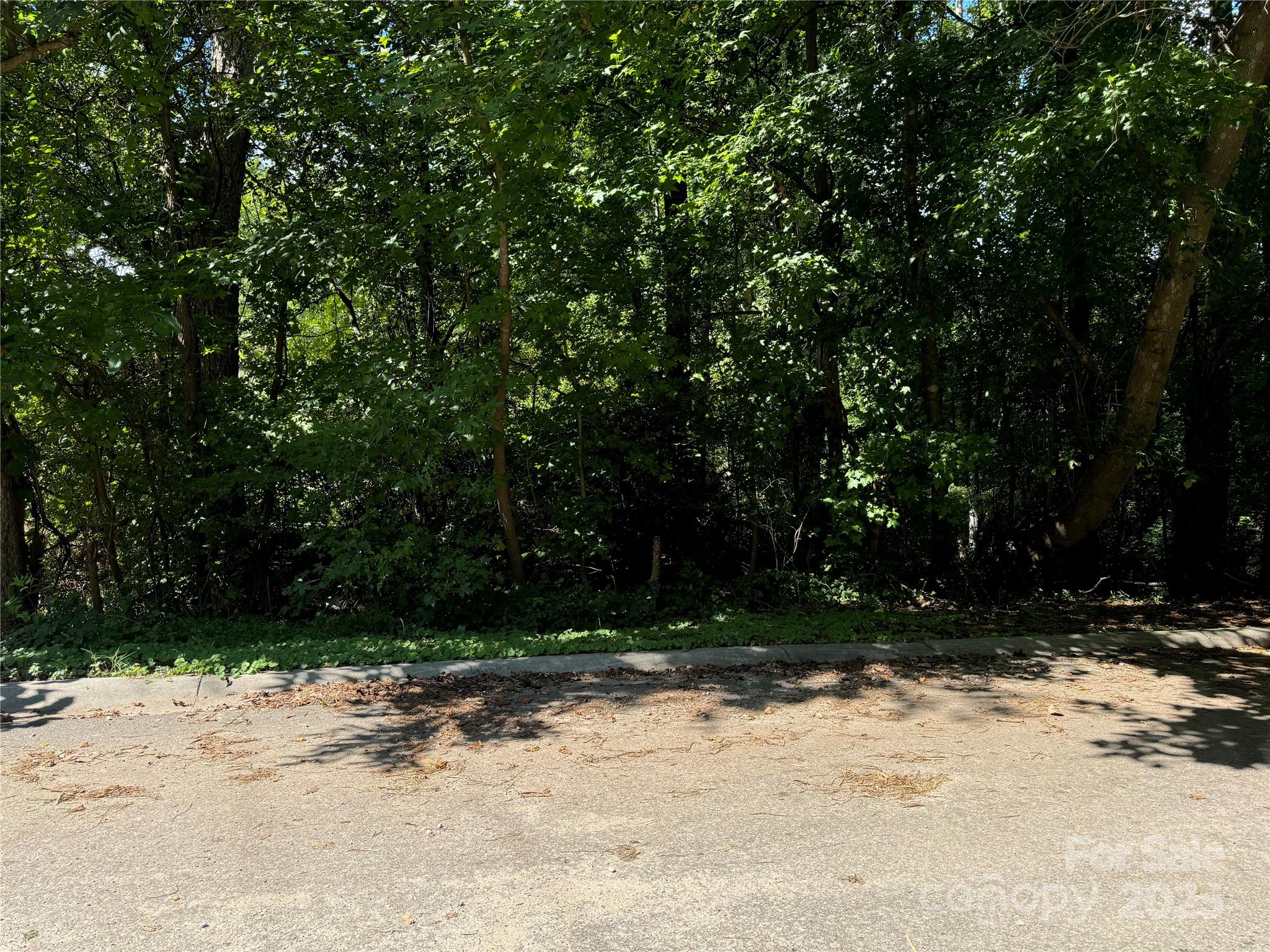 .99 Acres Hwy 321 Bypass Property Photo