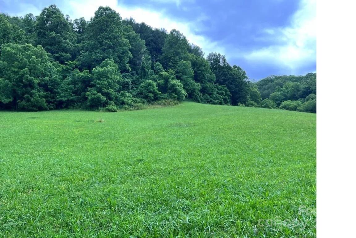0 Roscoe Lewis Road Property Photo