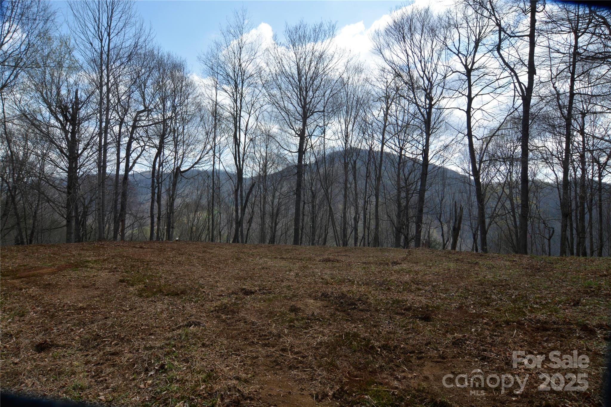 220 Screaming Eagle Drive Property Photo