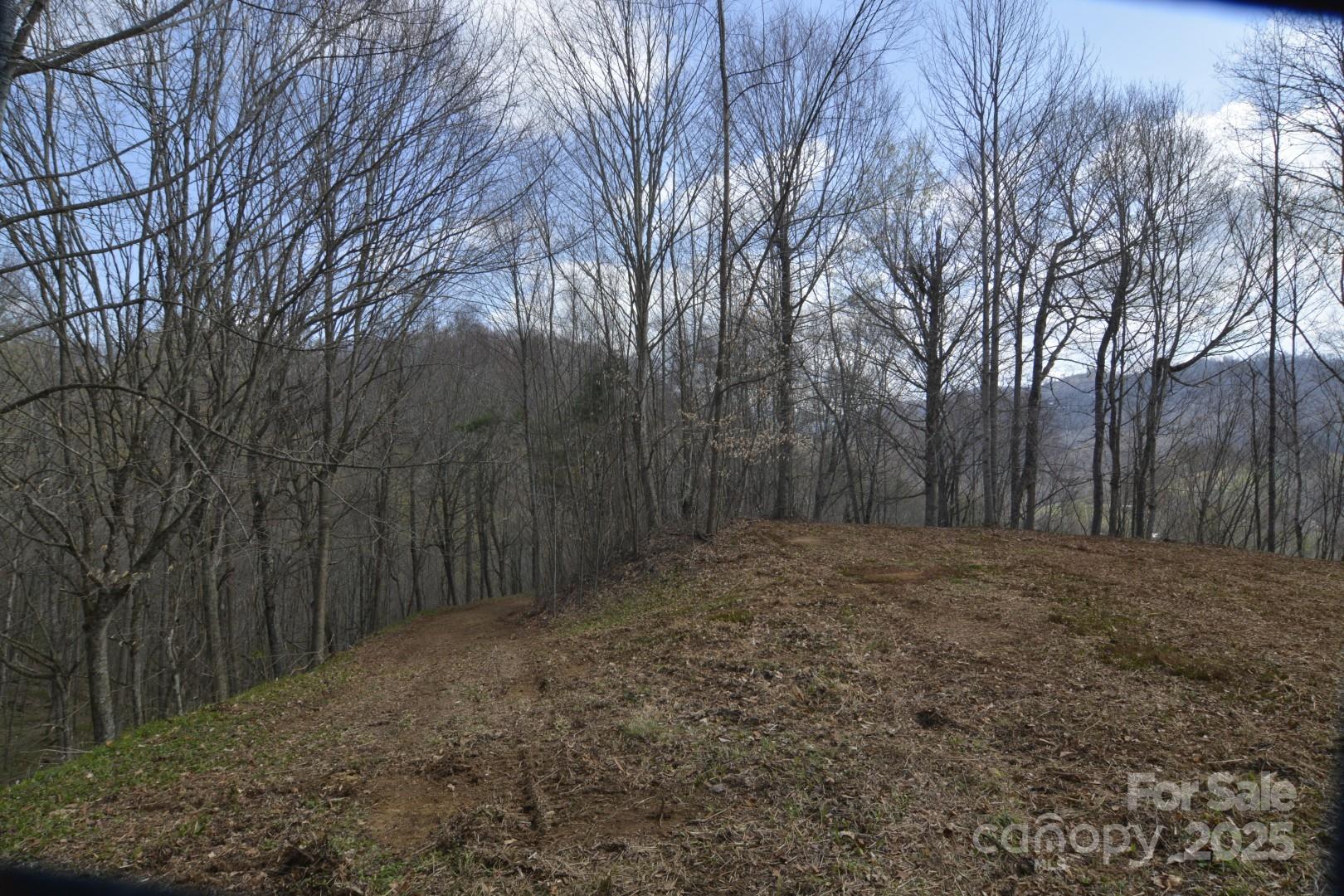 220 Screaming Eagle Drive Property Photo 2